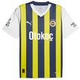 Fenerbahce SK Home crew shirt 2023 2024 Adults