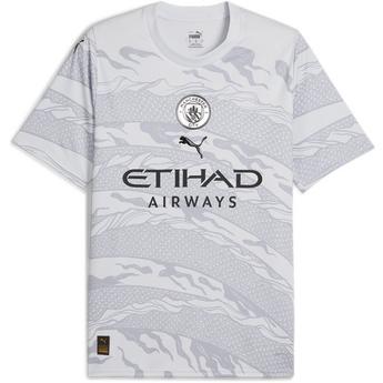 Puma Manchester City Pre Match Sweat T-shirt 2023 2024 Adults