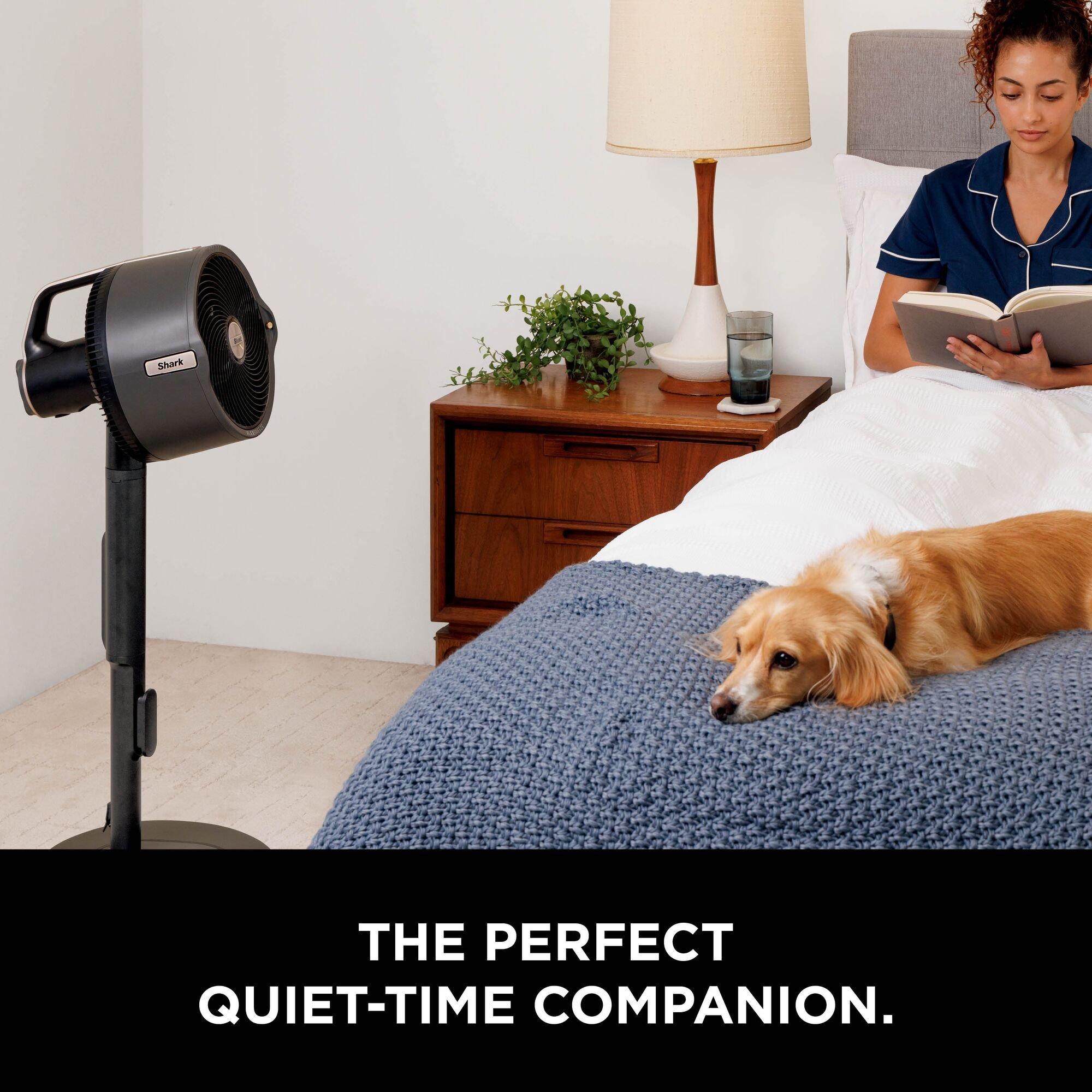 Charcoal Grey - Shark - FlexBreeze Pro Mist FA300UK - 8