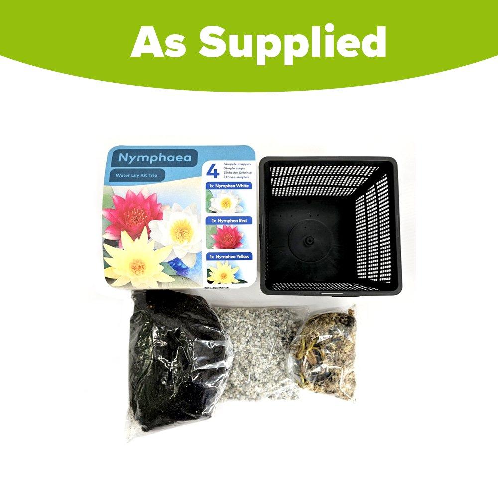 Multi - YouGarden - Water Lily Planting Kit - 4
