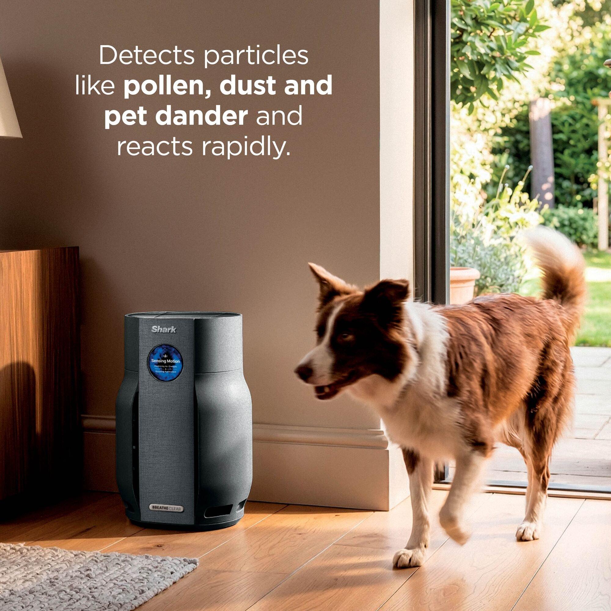 Charcoal - Shark - BreatheClear + NeverChange6 Air Purifier HP162UKBK - 4