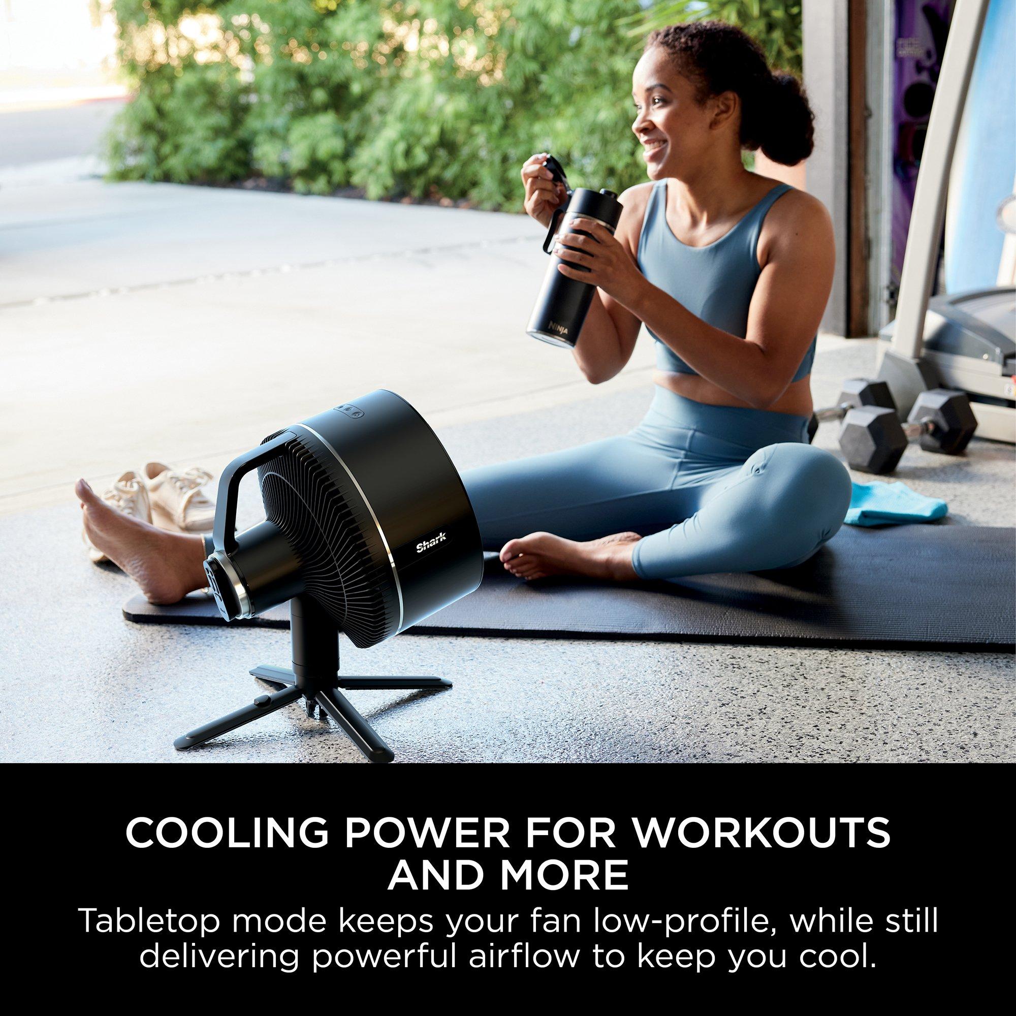 Charcoal - Shark - FlexBreeze High-Velocity Hybrid Fan FA220UK - 7