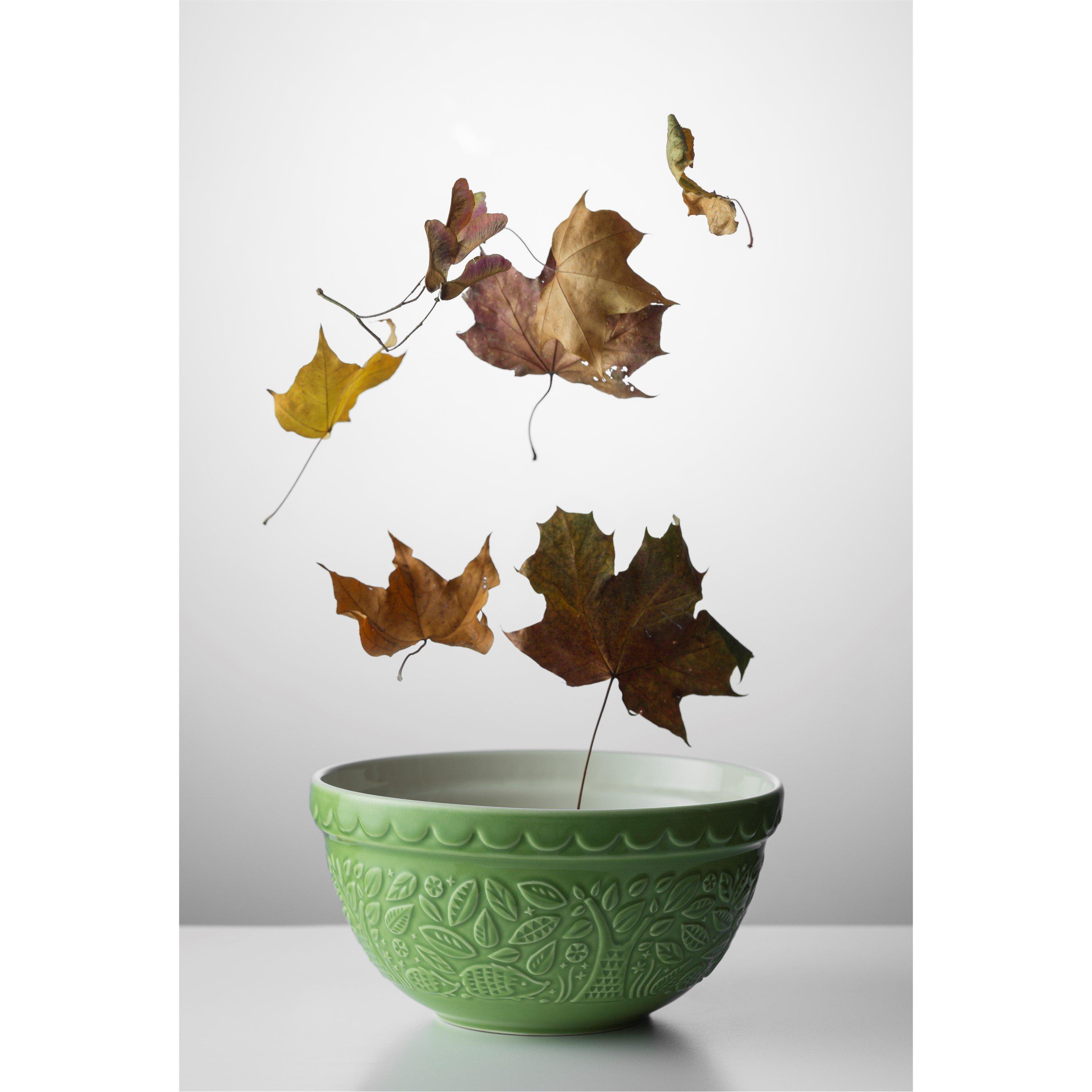 Green - Mason Cash - In the Forest 21cm Hedgehog Green Mixing Bowl - 3