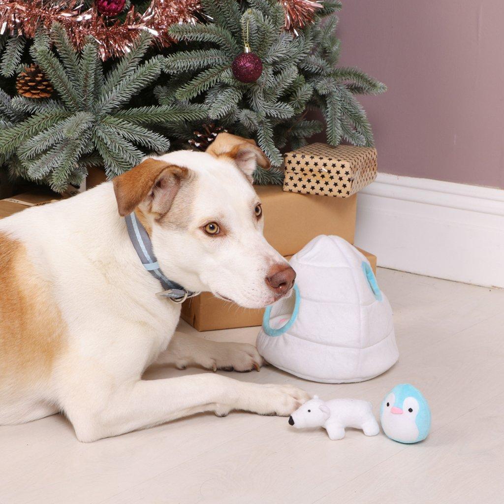 Multi - Pet Brands - Hide and Seek Igloo Toy - 2