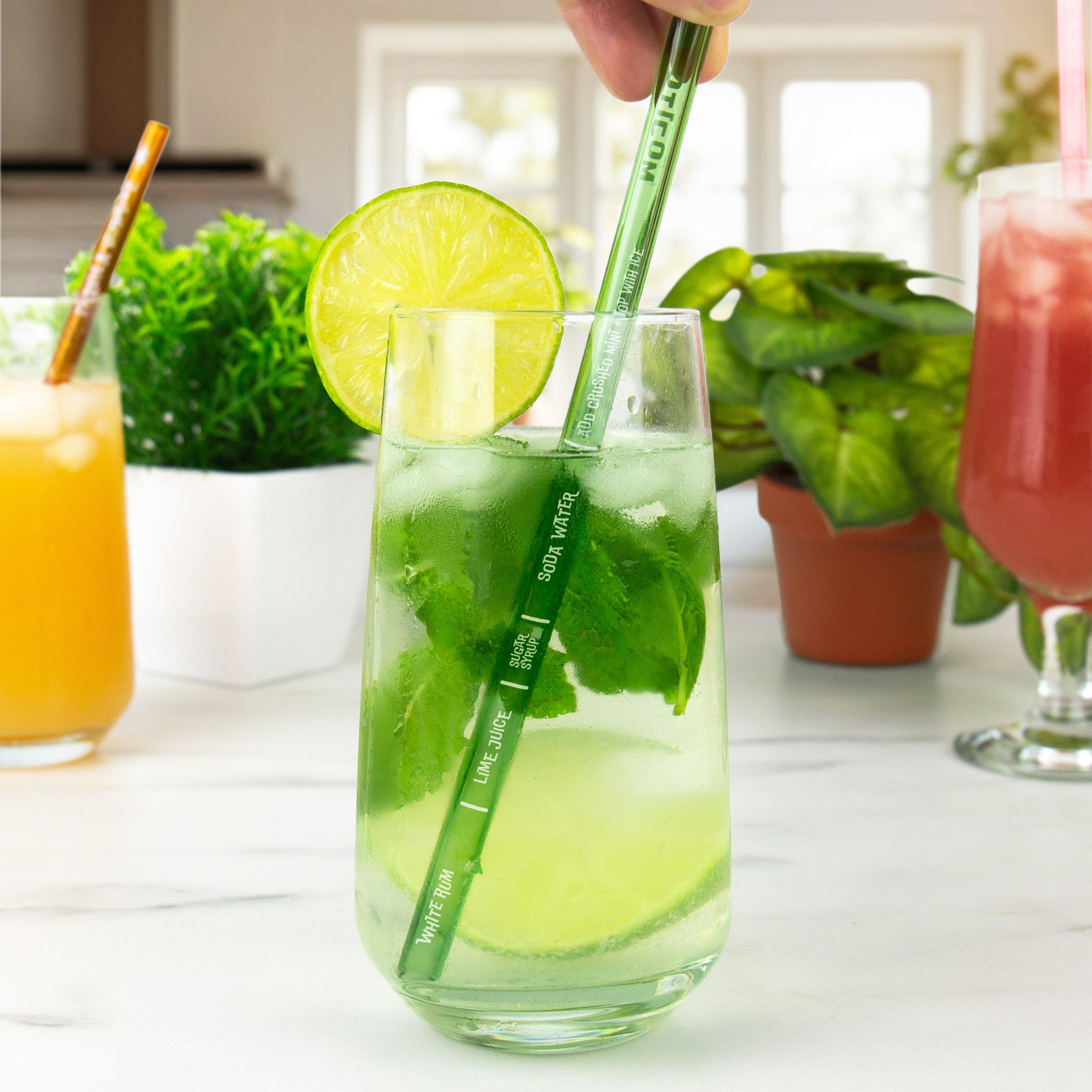 Gift Republic  Cocktail Recipe Straws - 
