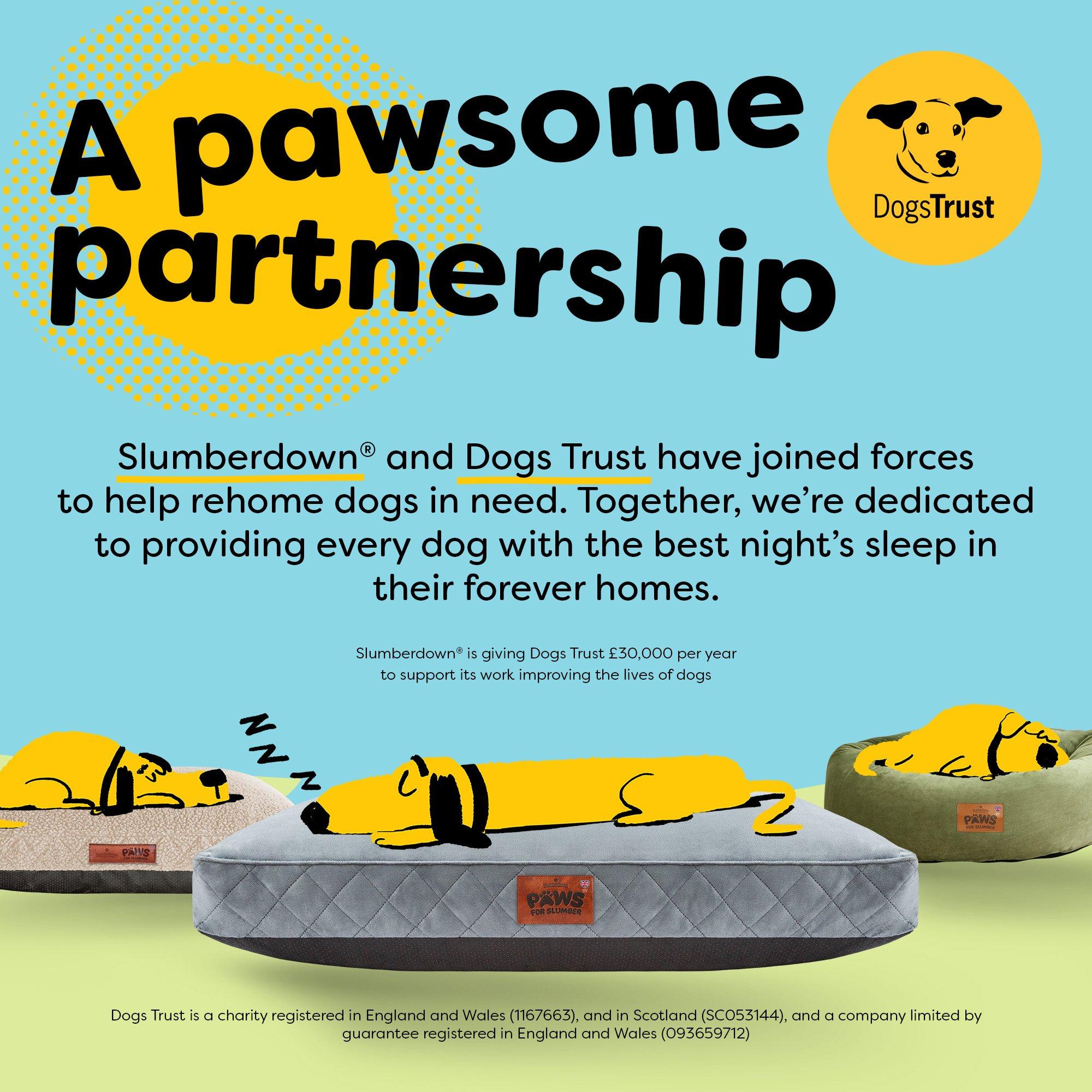 Grey - Slumberdown - Paws for Slumber Donut Pet Bed - 2