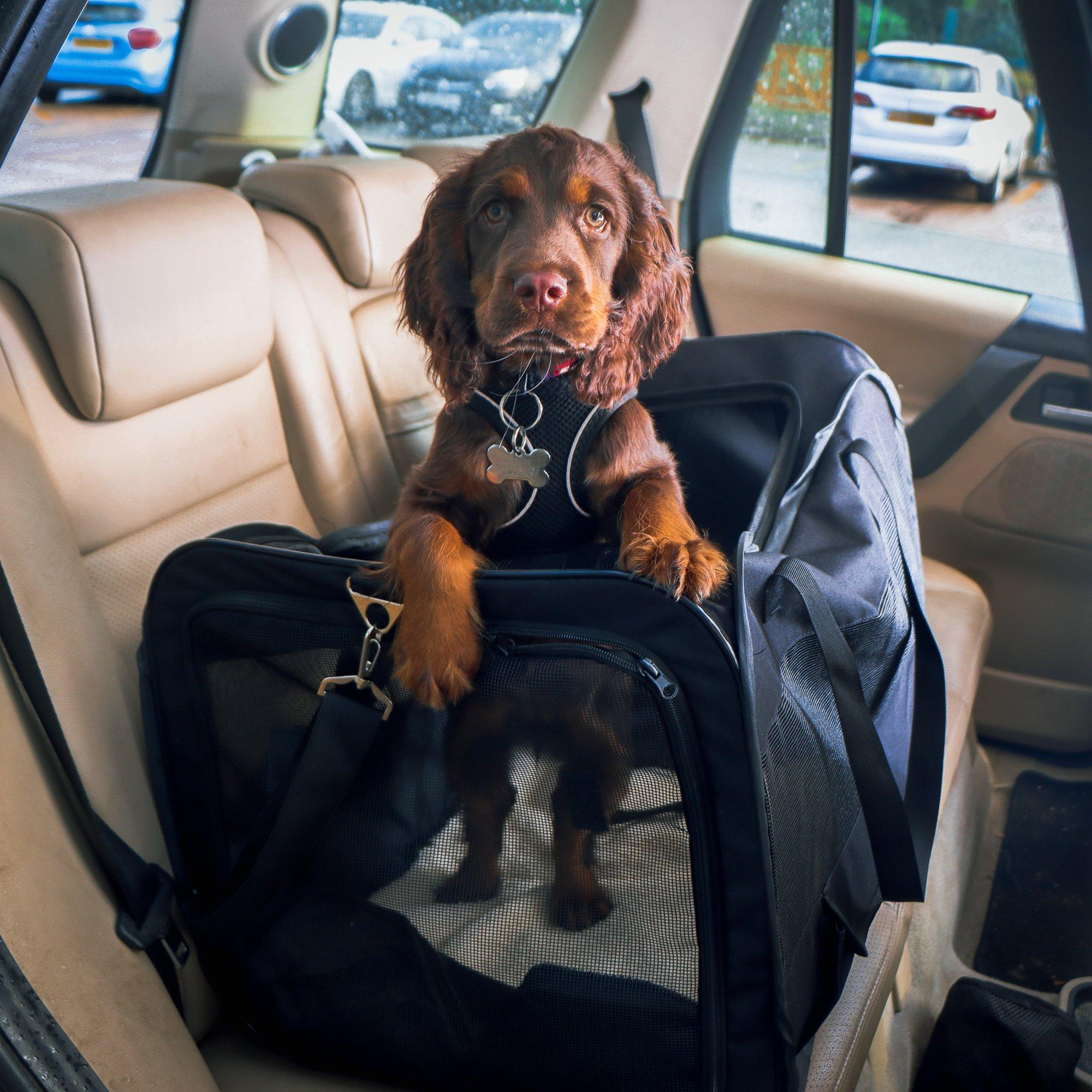 Black - Streetwize - Foldable Pet Kennel - 2