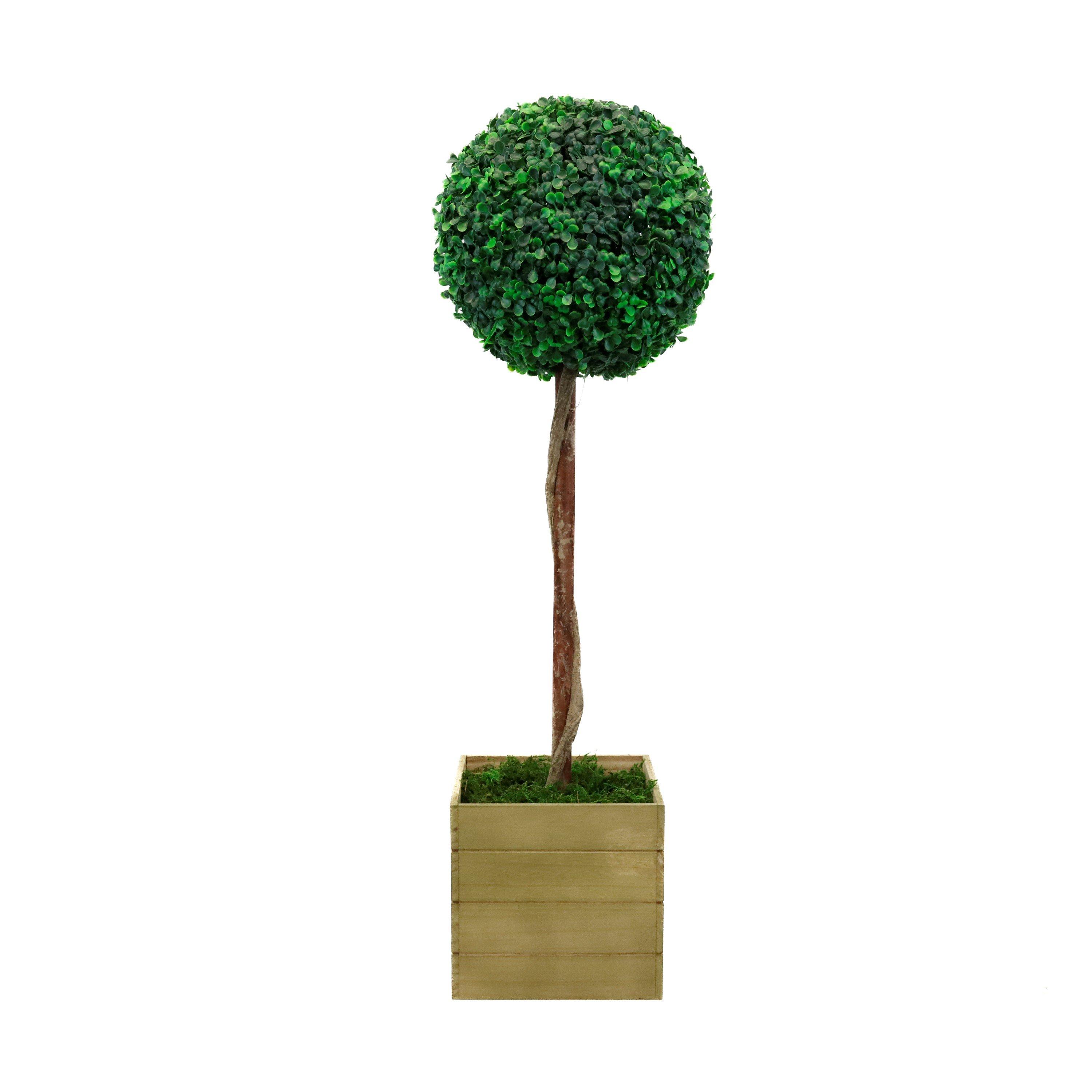 Green - Streetwize - Bay Ball Tall Tree in Pot - 1