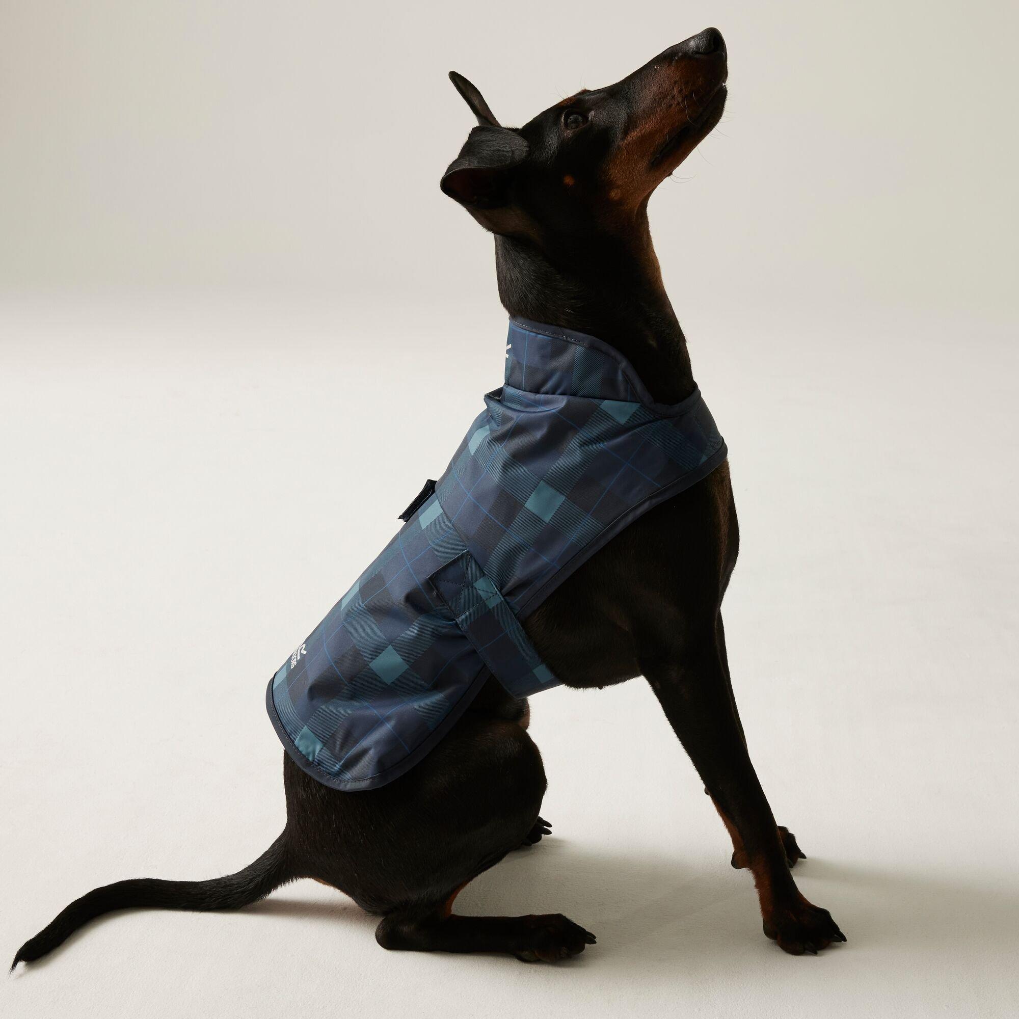 Arlo Dog Coat