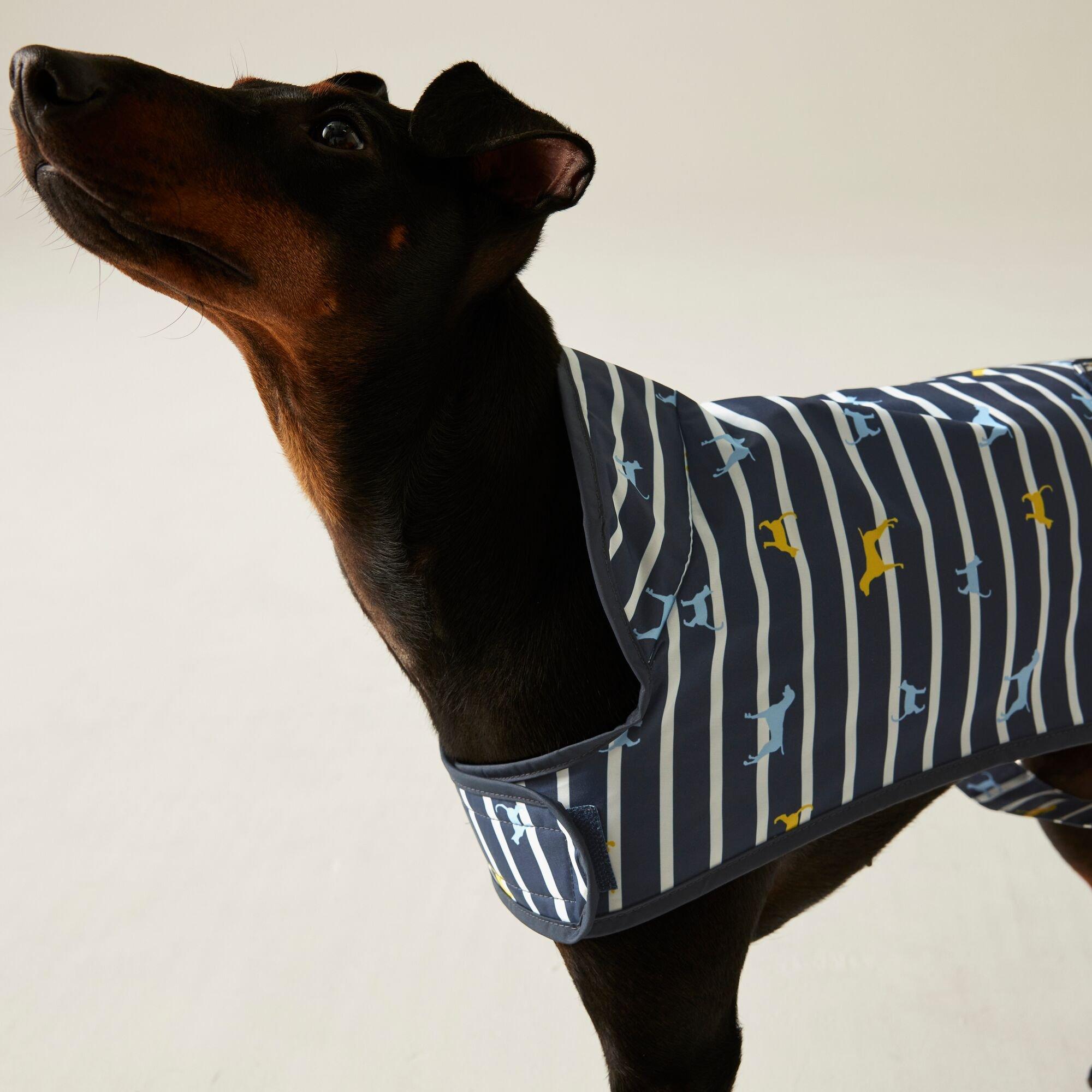 Nvybattersea - Regatta - Arlo Dog Coat - 1