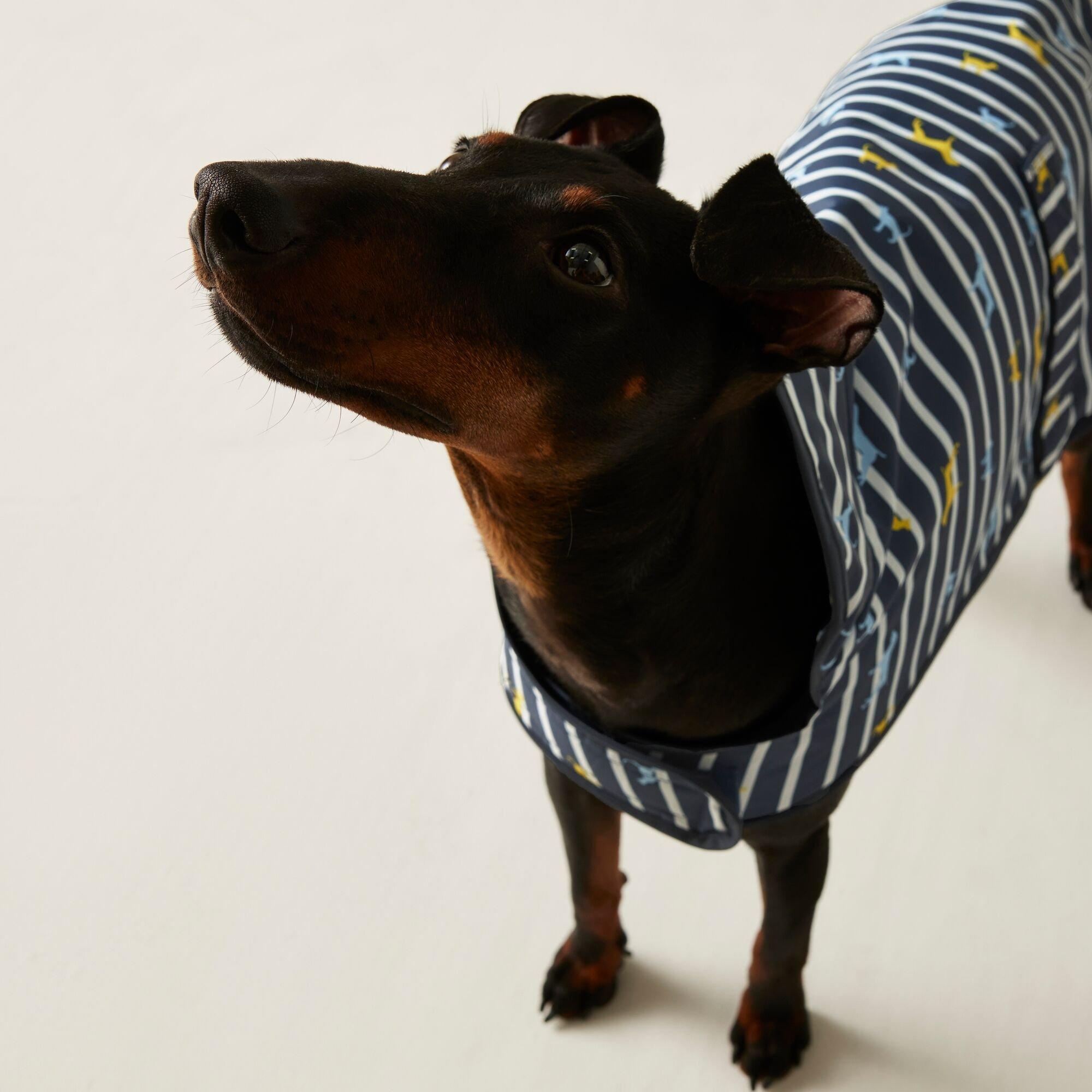 Nvybattersea - Regatta - Arlo Dog Coat - 2
