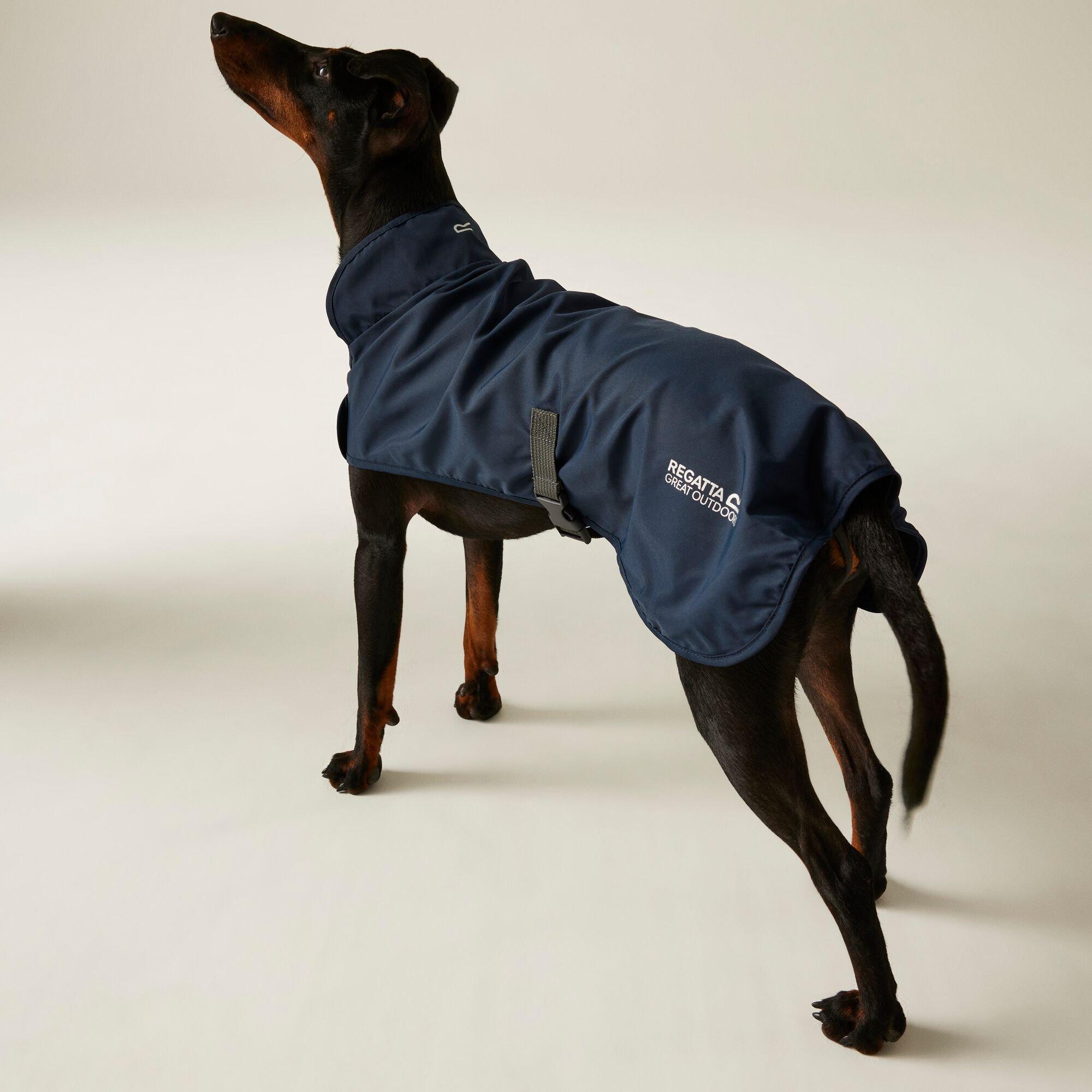 Navy - Regatta - Packaway Dog Coat - 1