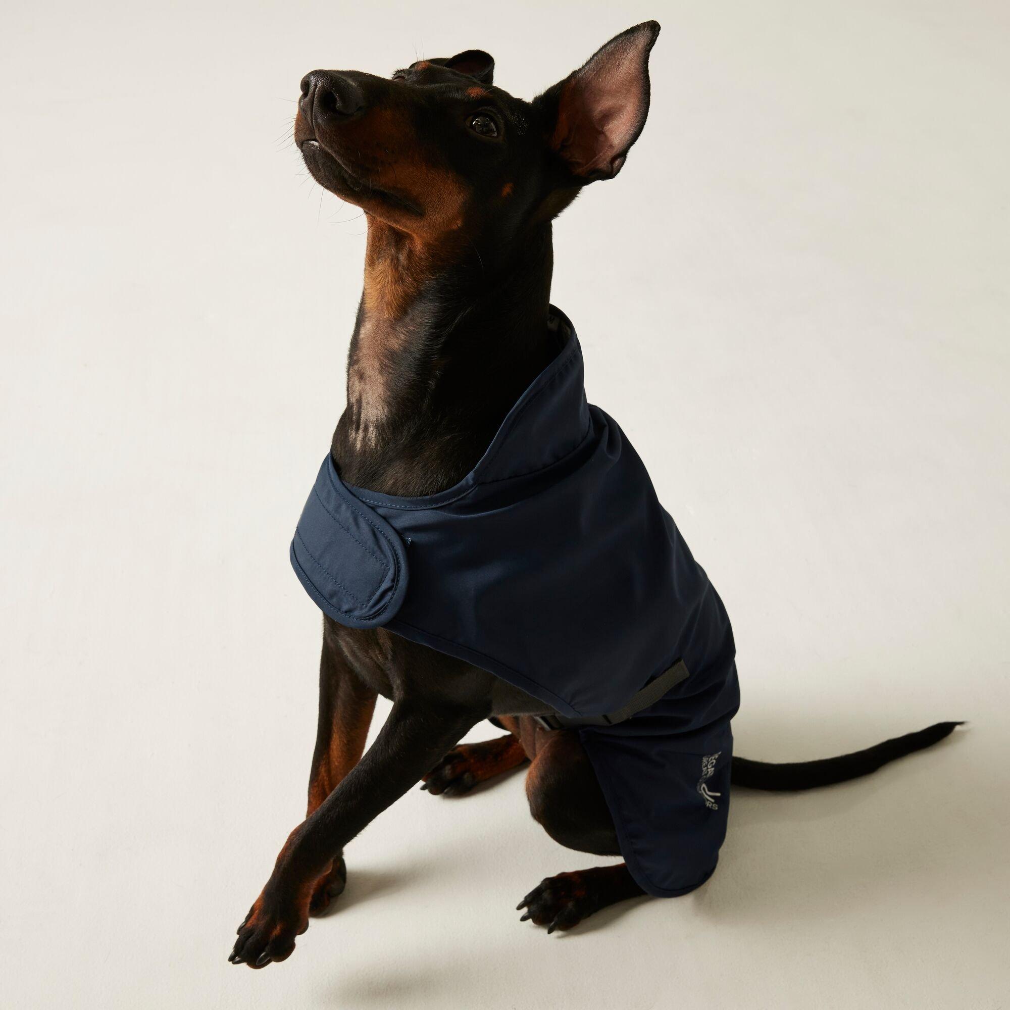 Navy - Regatta - Packaway Dog Coat - 2