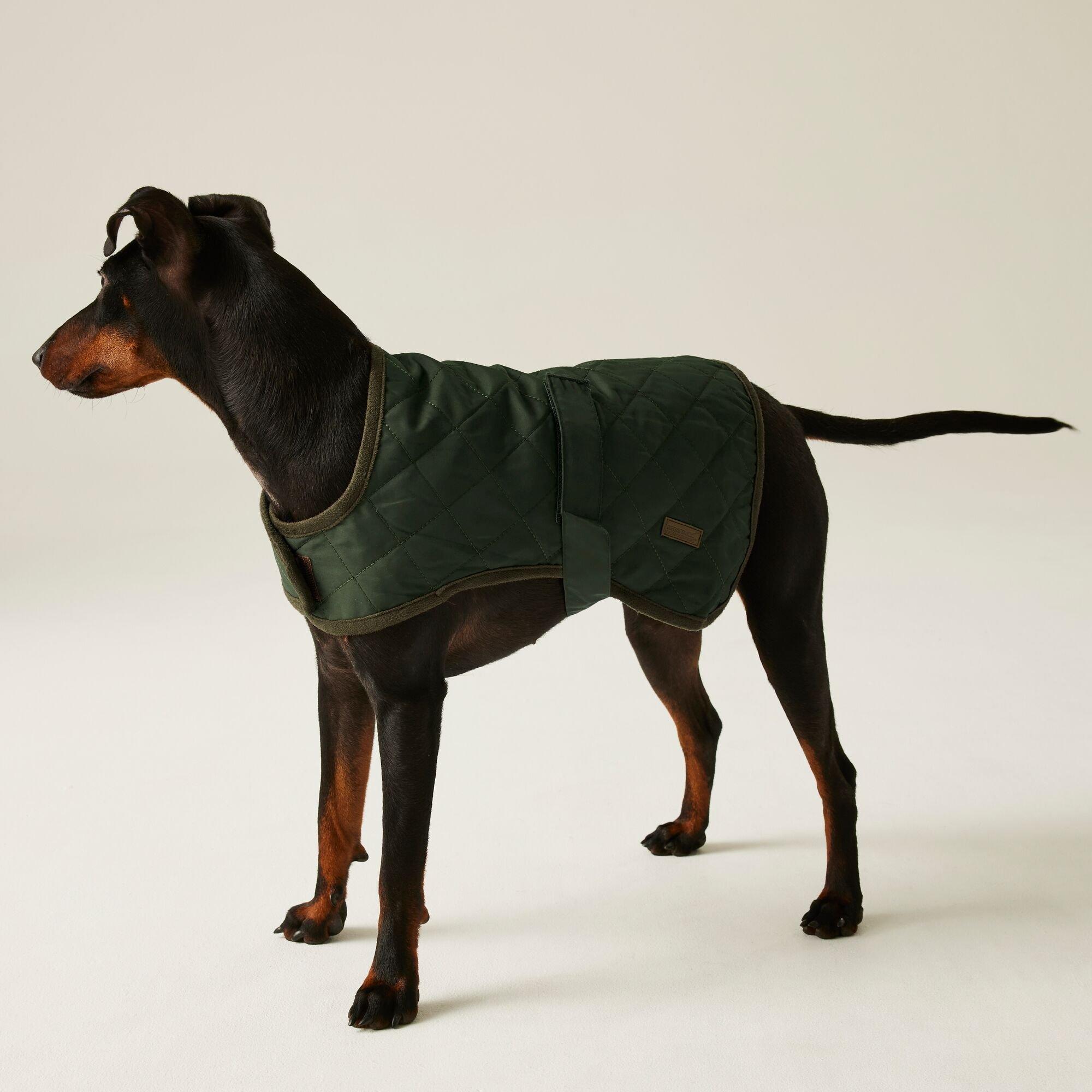 Dark Khaki - Regatta - Odie Dog Coat - 2