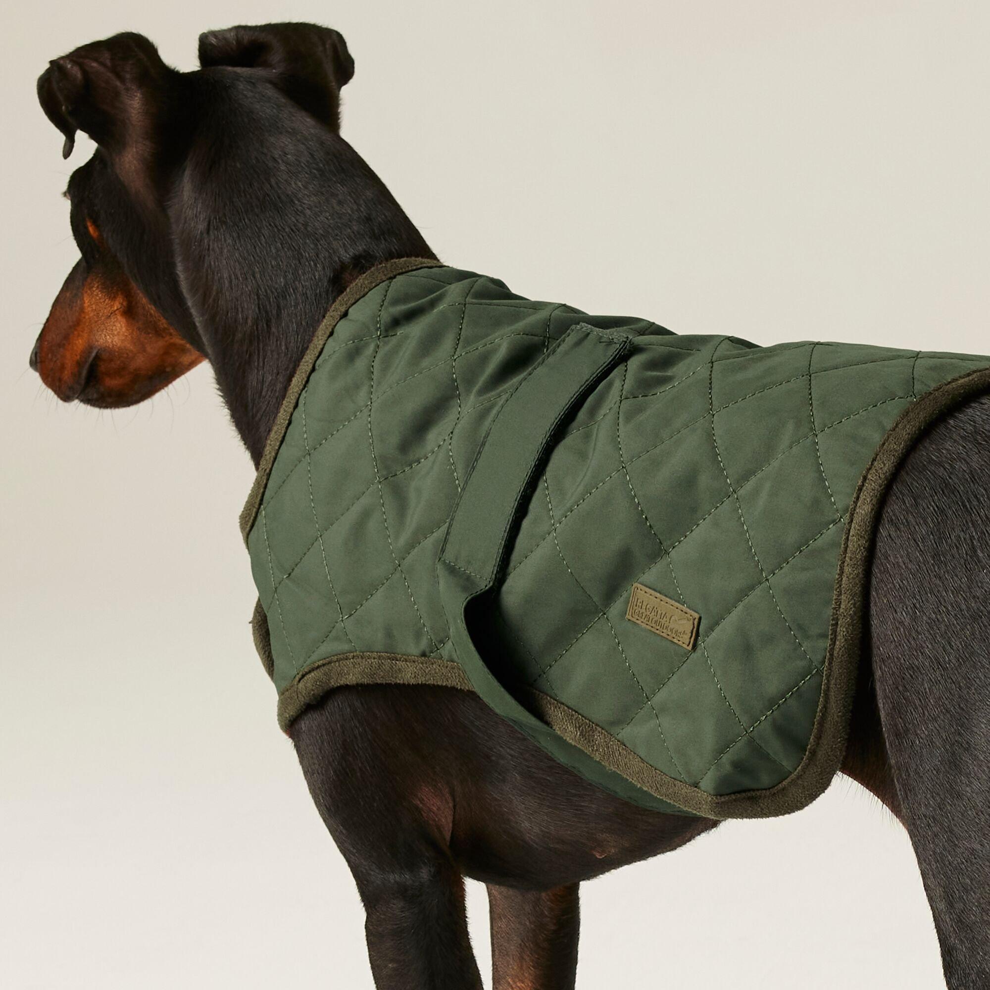 Dark Khaki - Regatta - Odie Dog Coat - 3