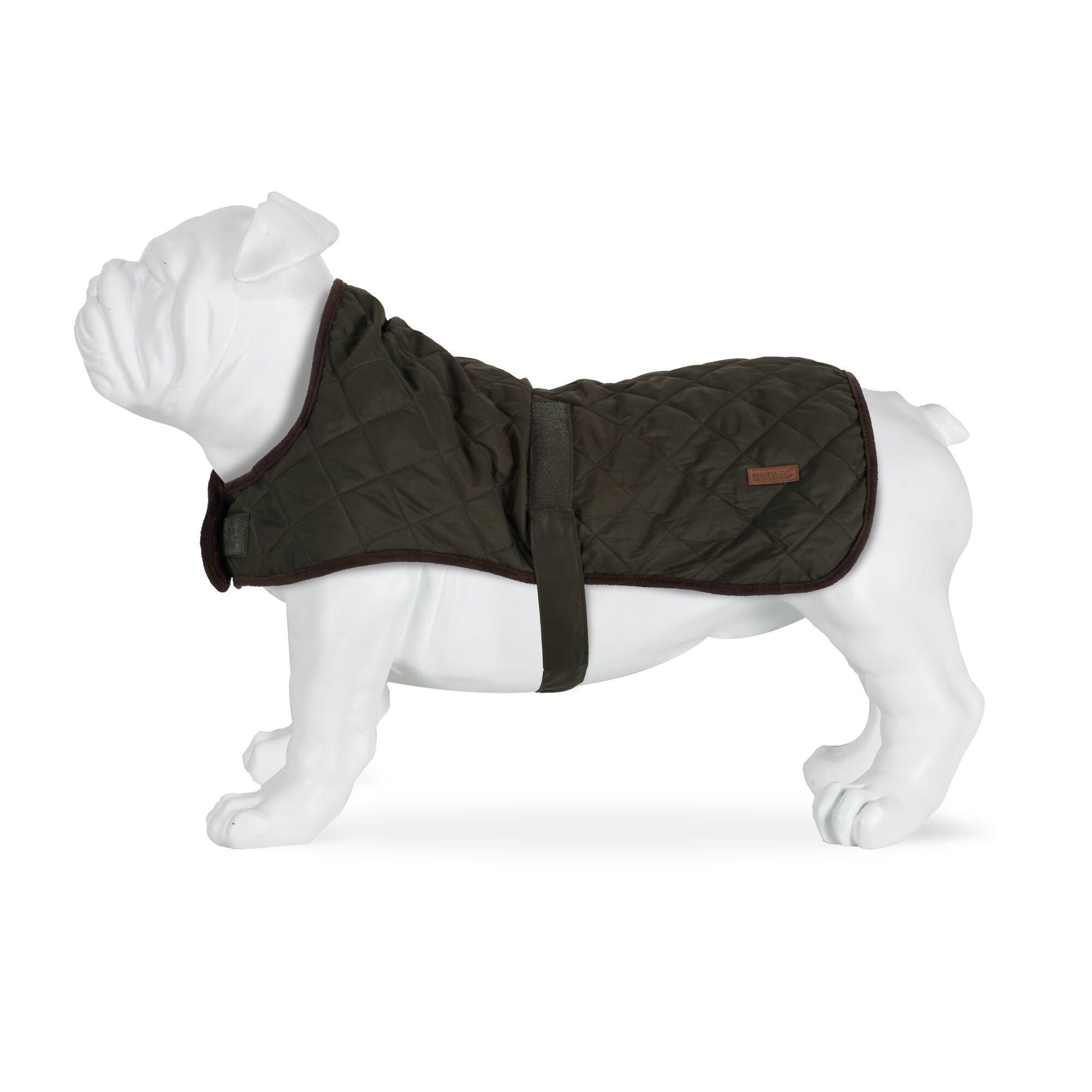Dark Khaki - Regatta - Odie Dog Coat - 5
