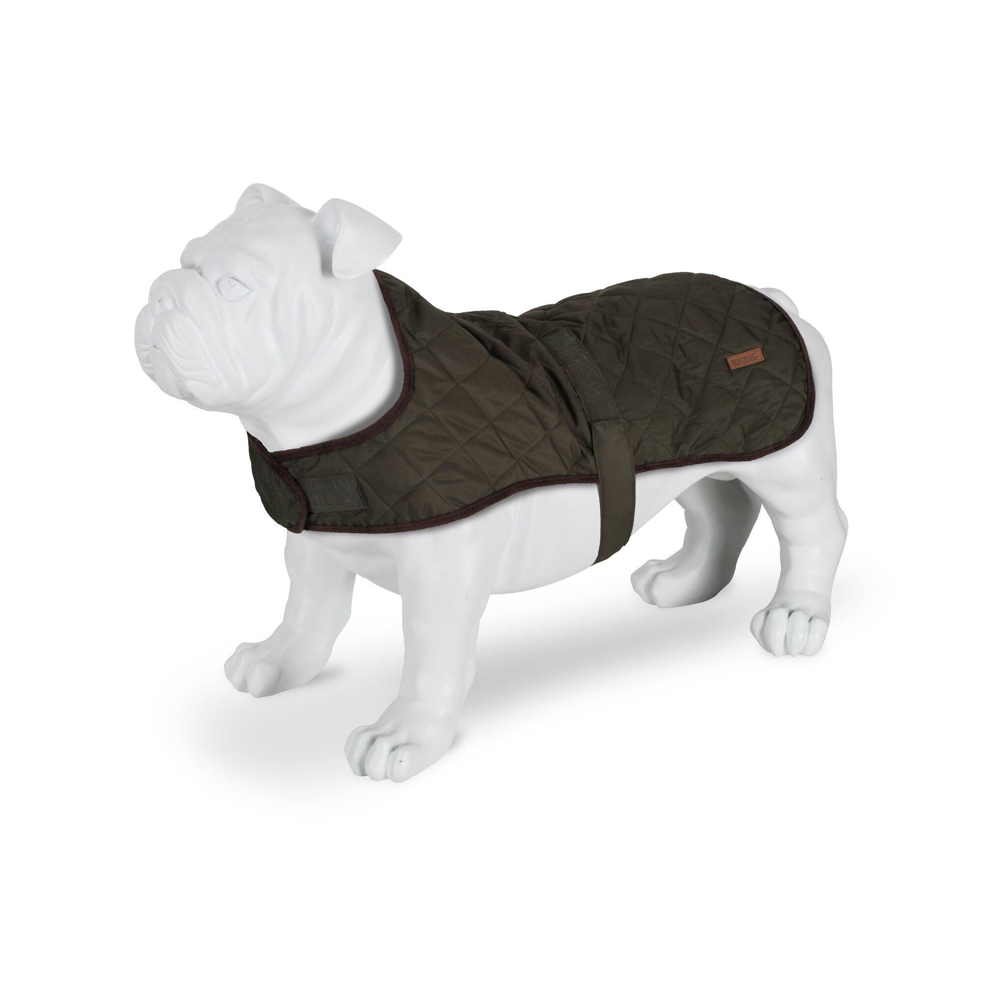 Dark Khaki - Regatta - Odie Dog Coat - 6