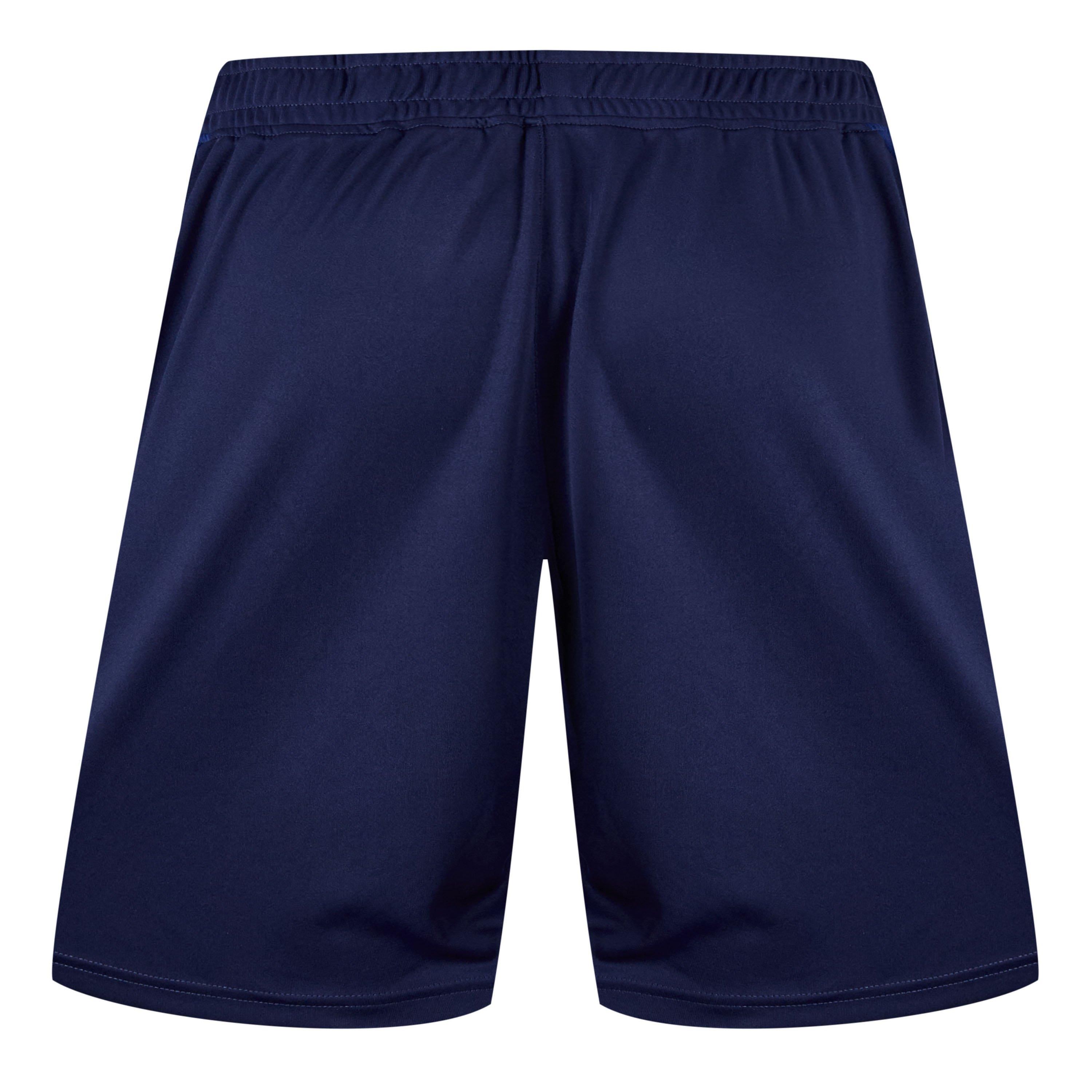 Blue - Castore - Scarlets Training Shorts 2024 2025 Adults - 2