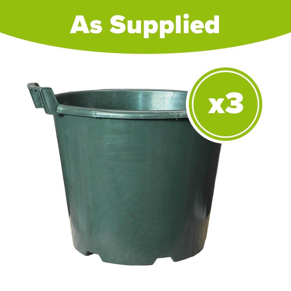 Green - YouGarden - Heavy Duty Pots - Green (3 x 30L) - 2