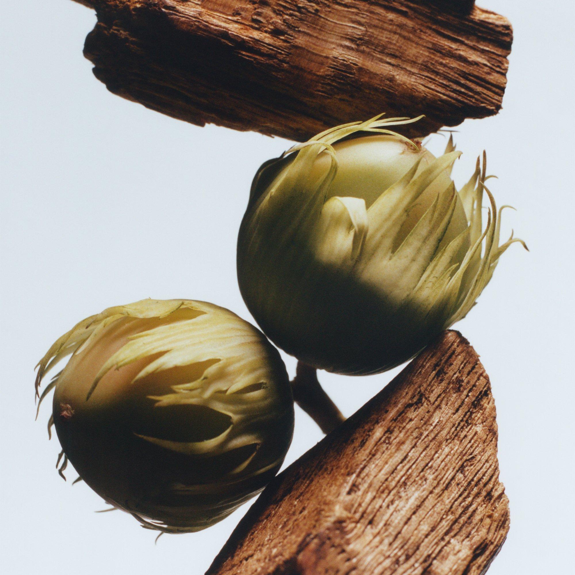 None - Jo Malone London - English Oak & Hazelnut Cologne 50ml - 2