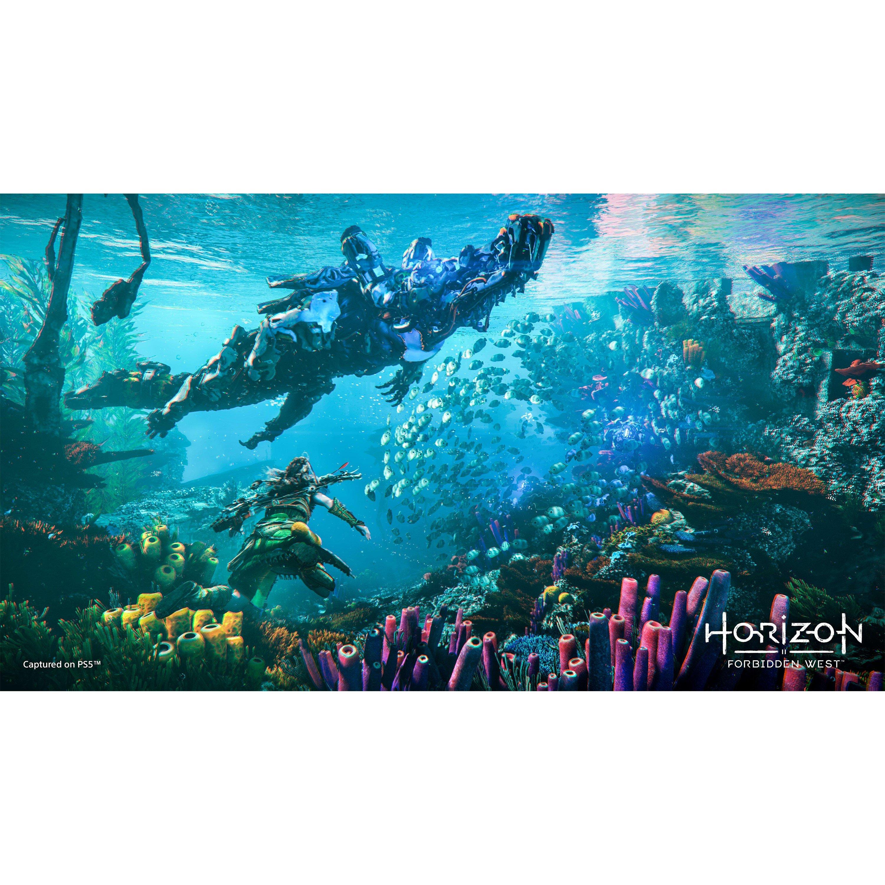 PS4 - PlayStation - Horizon Forbidden West - 12