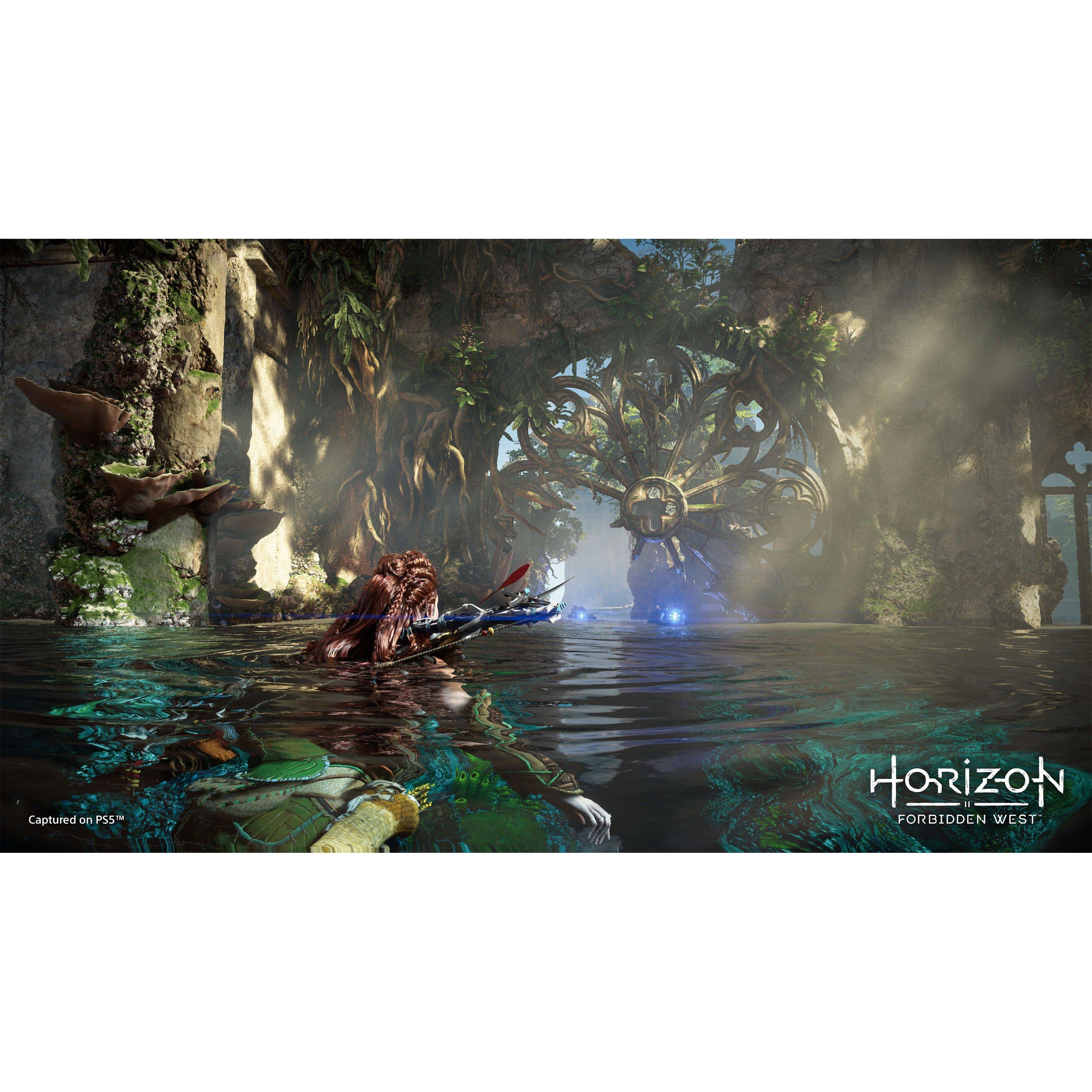 PS4 - PlayStation - Horizon Forbidden West - 7