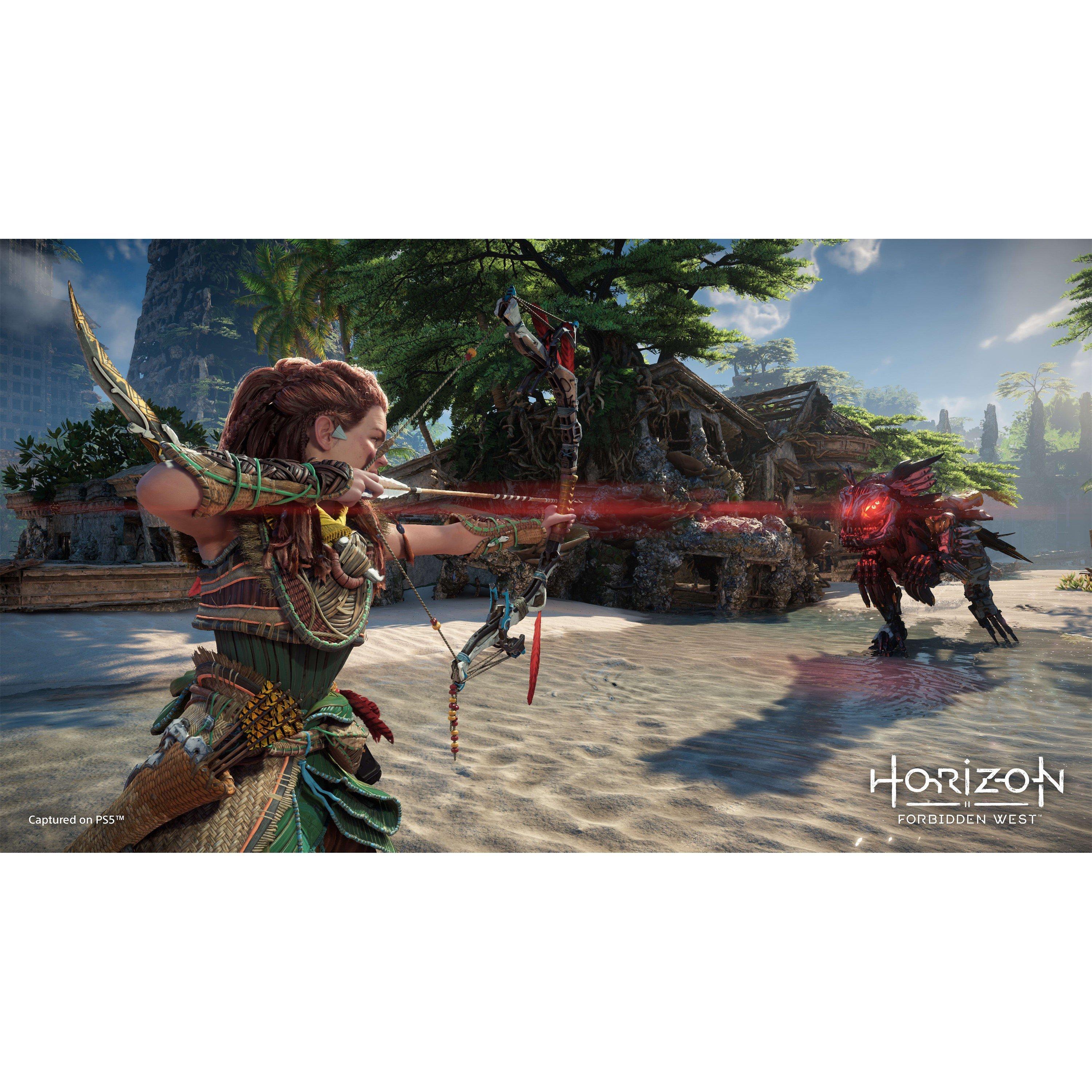 PS4 - PlayStation - Horizon Forbidden West - 8