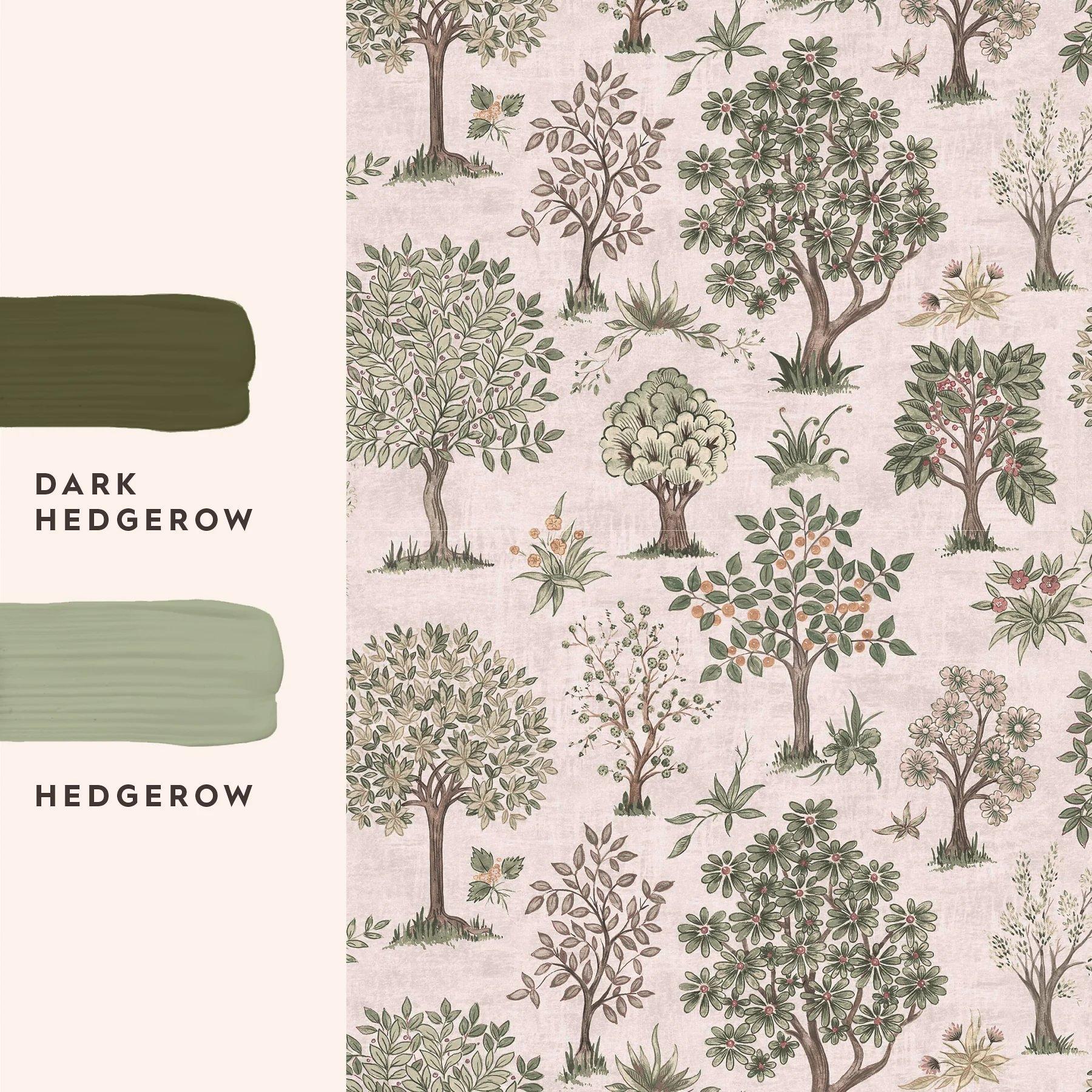 Hedgerow - Laura Ashley - Ashbridge Wallpaper - 6