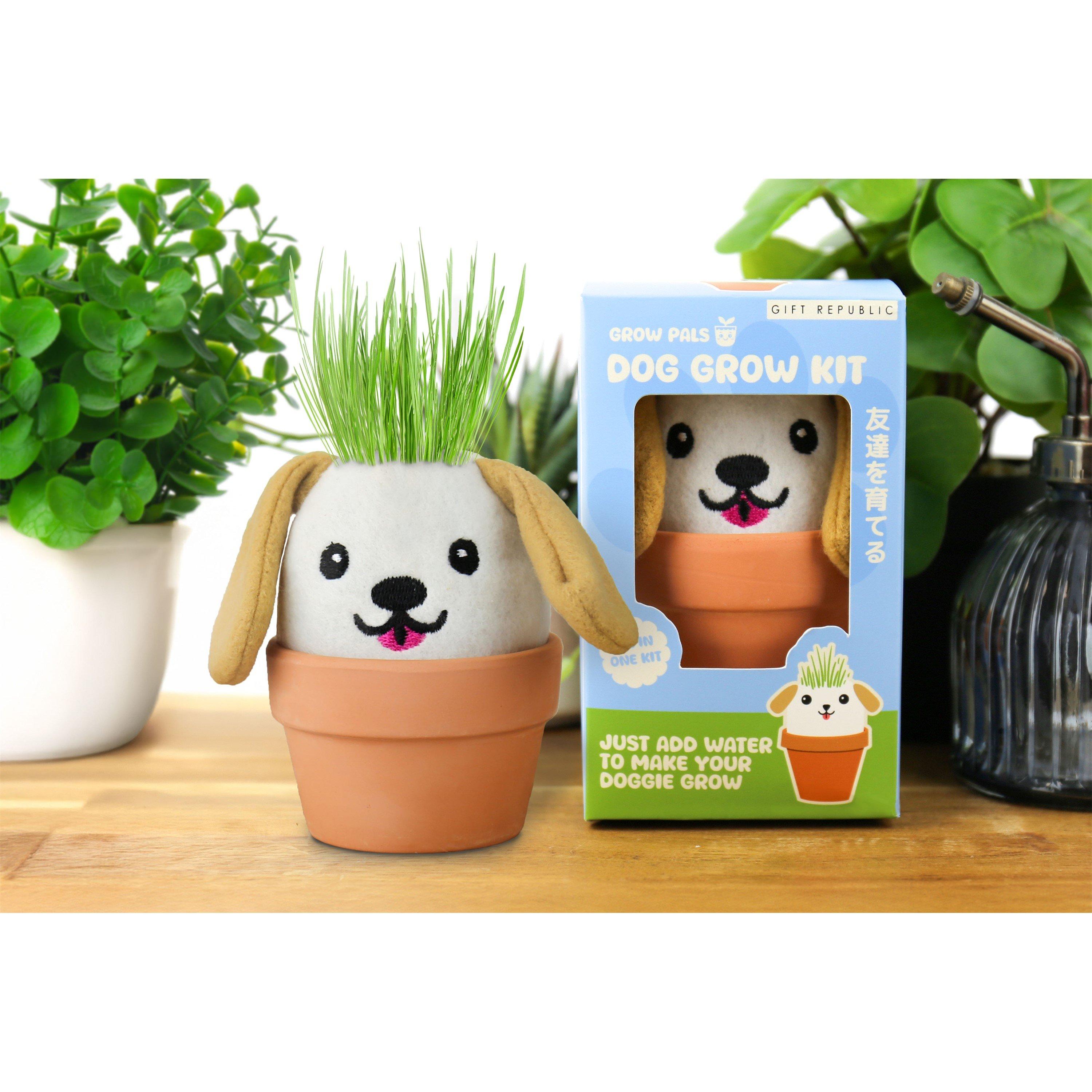 Gift Republic  Dog Grow Kit – Grow Pals - 