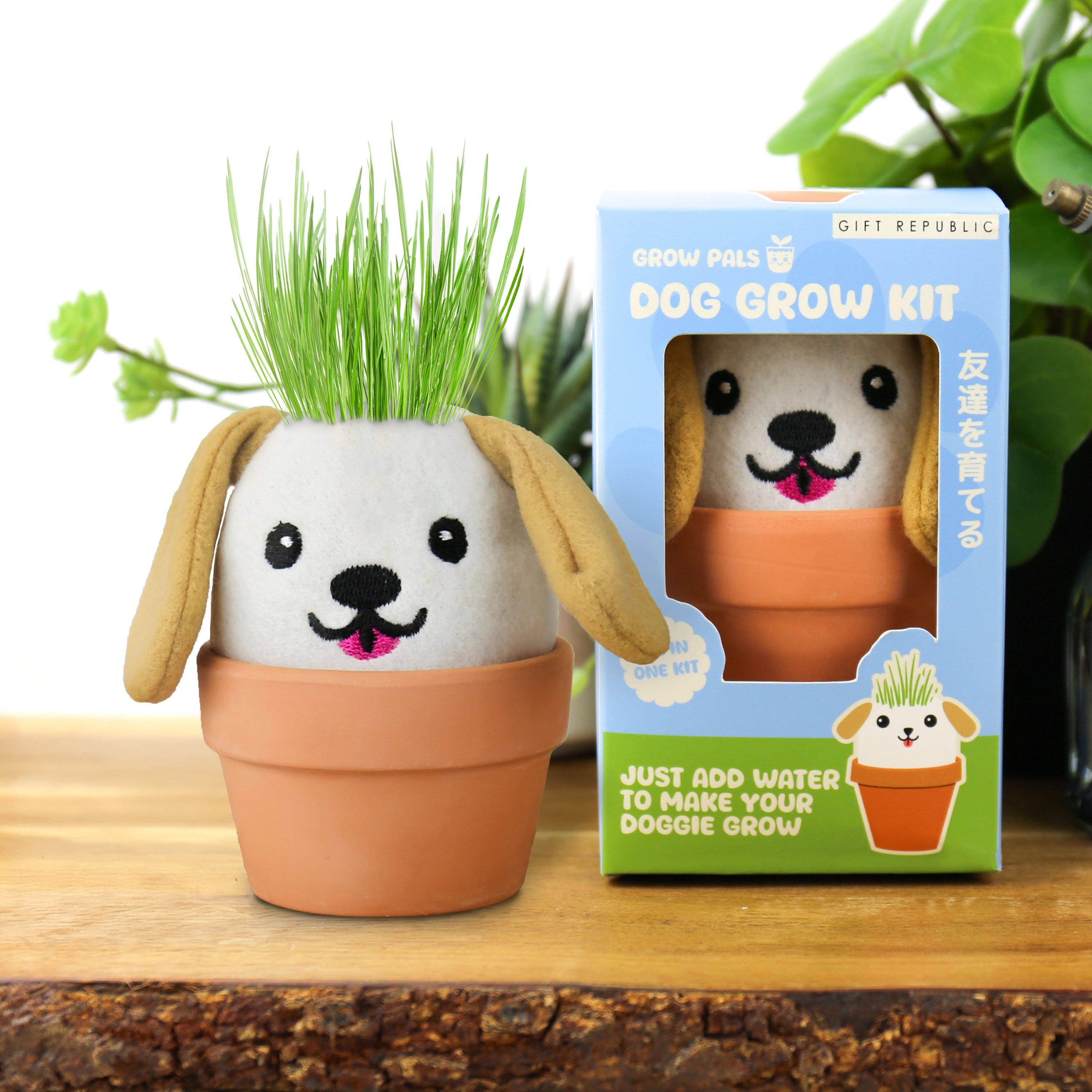 Multi - Gift Republic - Dog Grow Kit – Grow Pals - 3