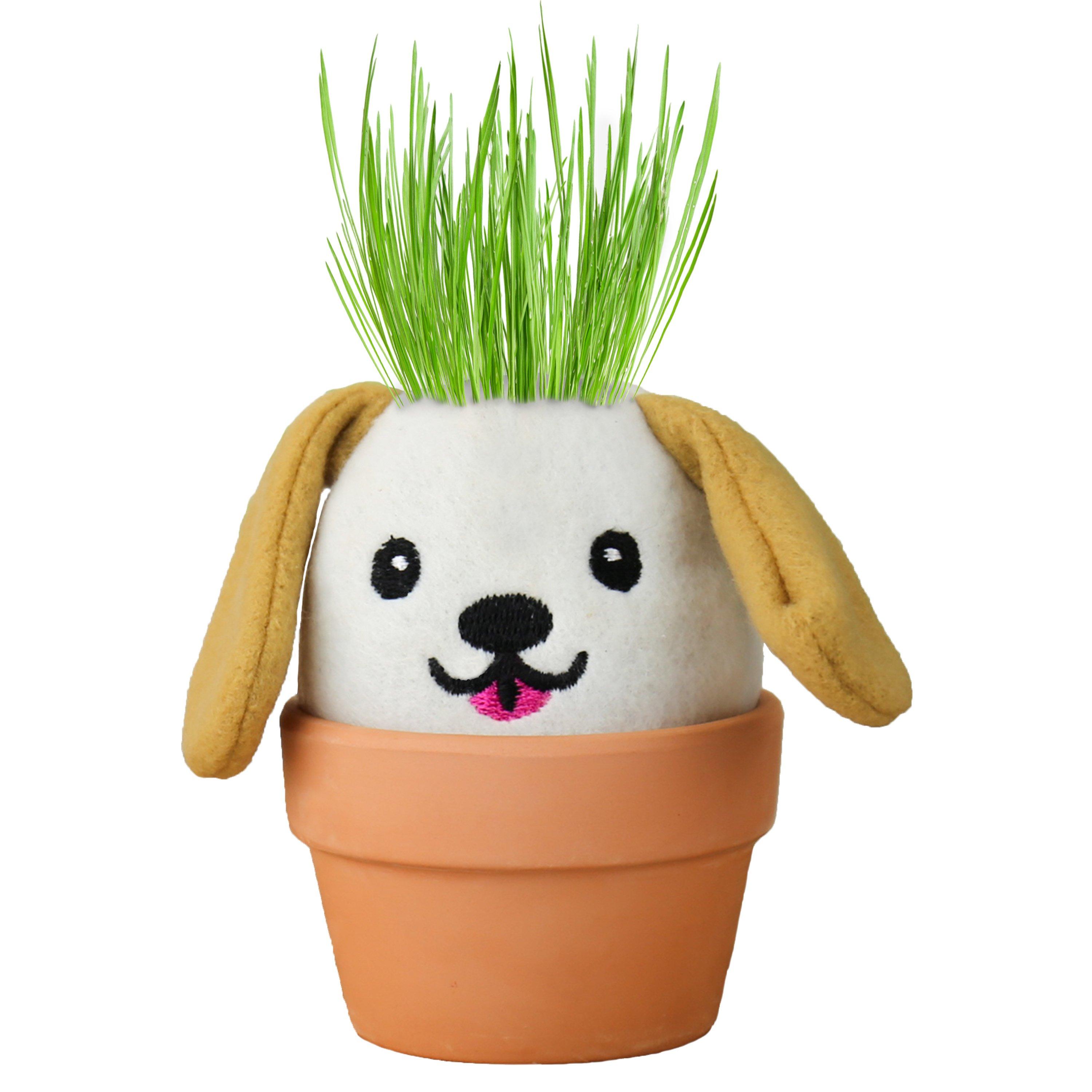 Multi - Gift Republic - Dog Grow Kit – Grow Pals - 10