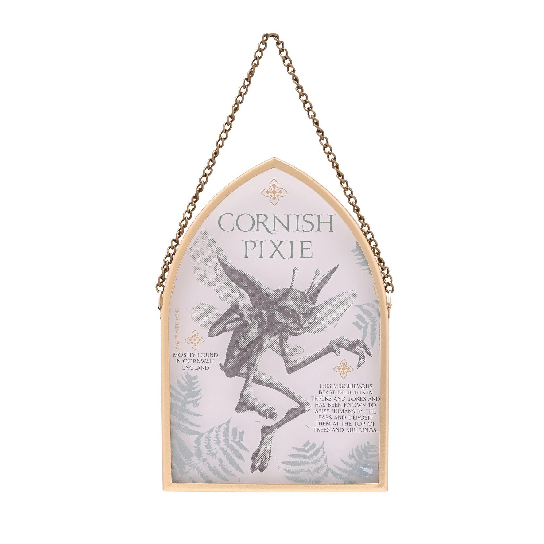 Multi - Harry Potter - Harry Potter Herbology Arch Plaque Cornish Pixie - 2