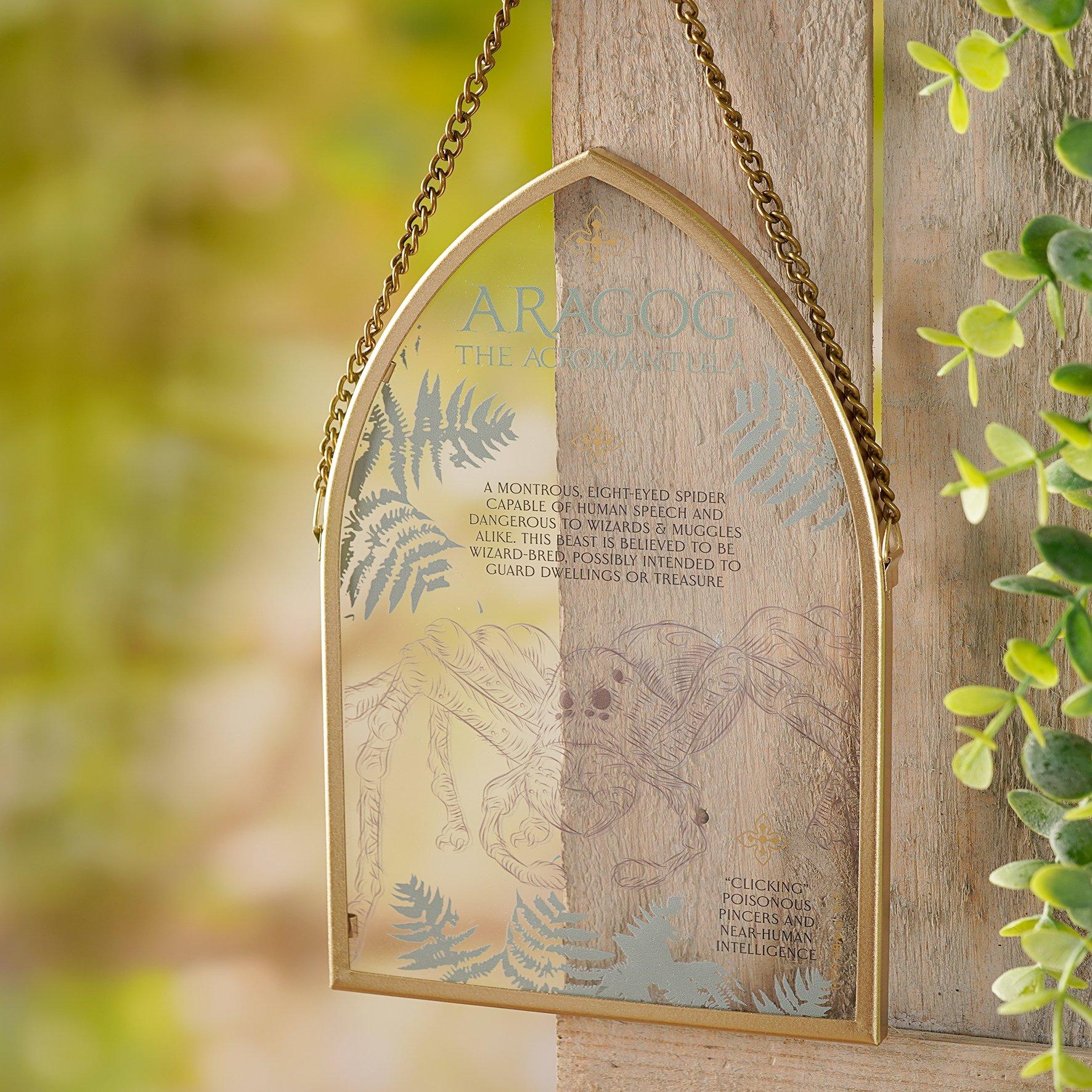 Harry Potter  Herbology Arch Plaque Aragog -  - Medium