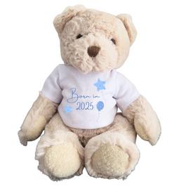 Aye Do Luxury Teddy Bear & Born in 2025 Balloons T-Shirt