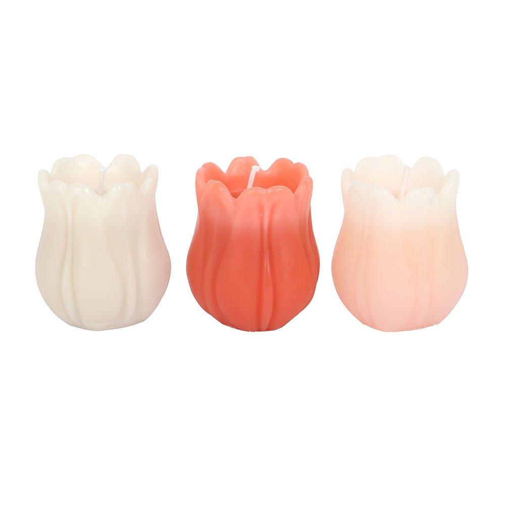 Pink - Something Different - Set of 3 Tulip Shaped Candles - 2