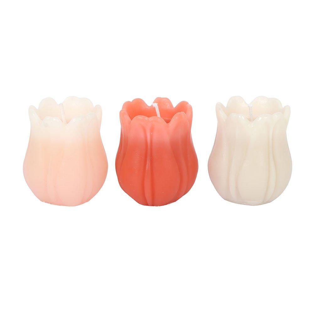 Pink - Something Different - Set of 3 Tulip Shaped Candles - 4