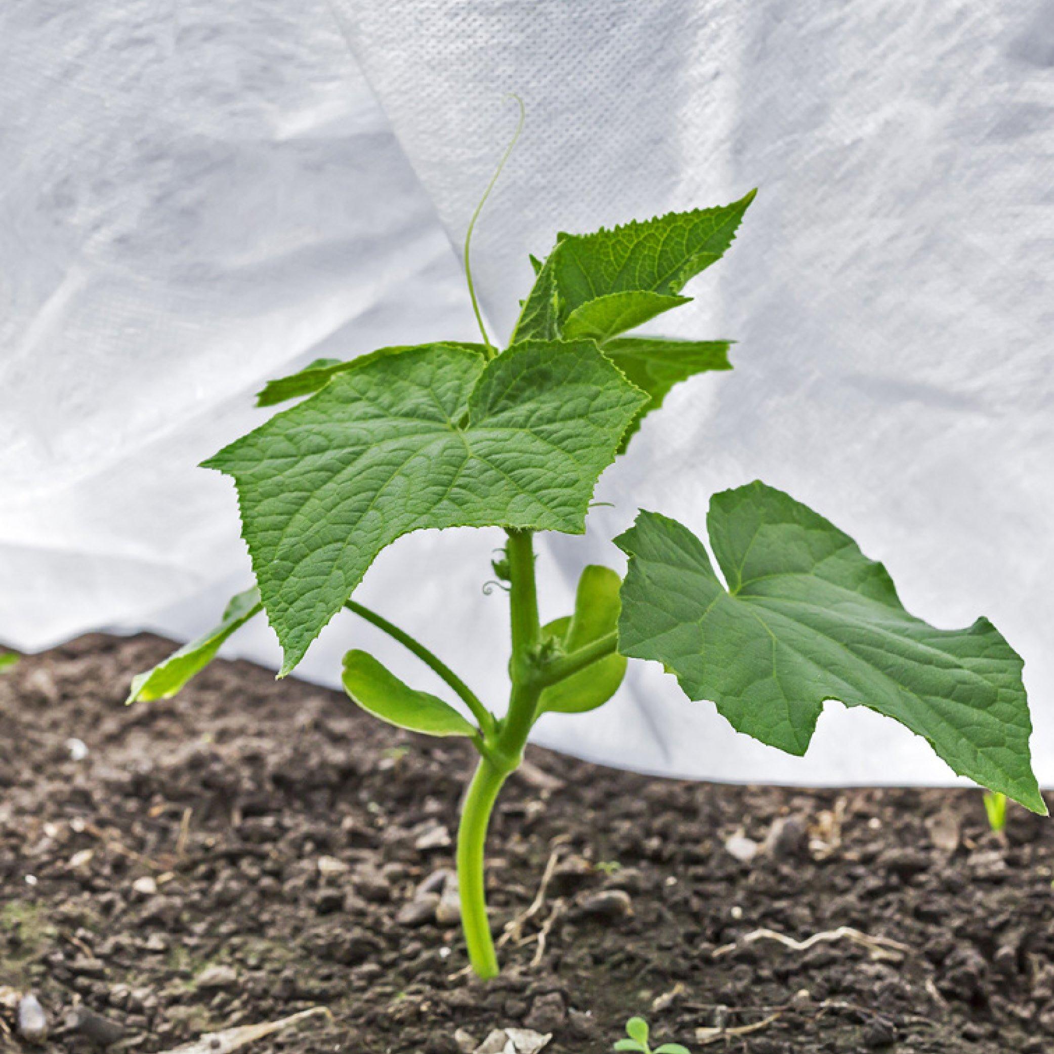 White - YouGarden - Frost Protection Fleece roll 15M x 1M - 4