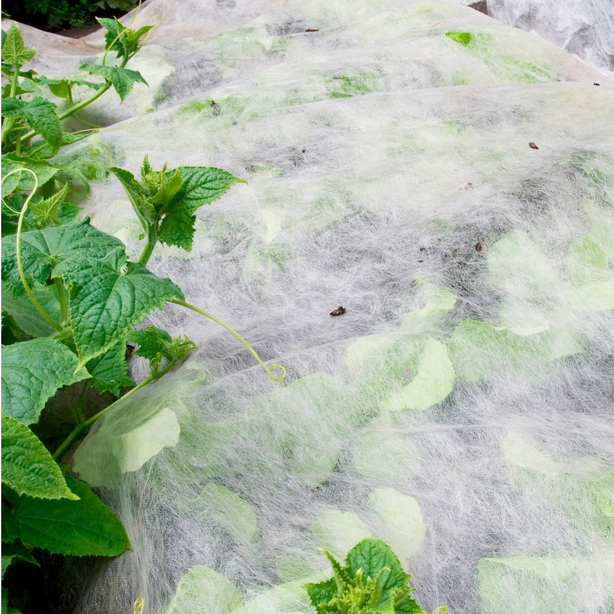 White - YouGarden - Frost Protection Fleece roll (15M x 1M )x 3 - 3