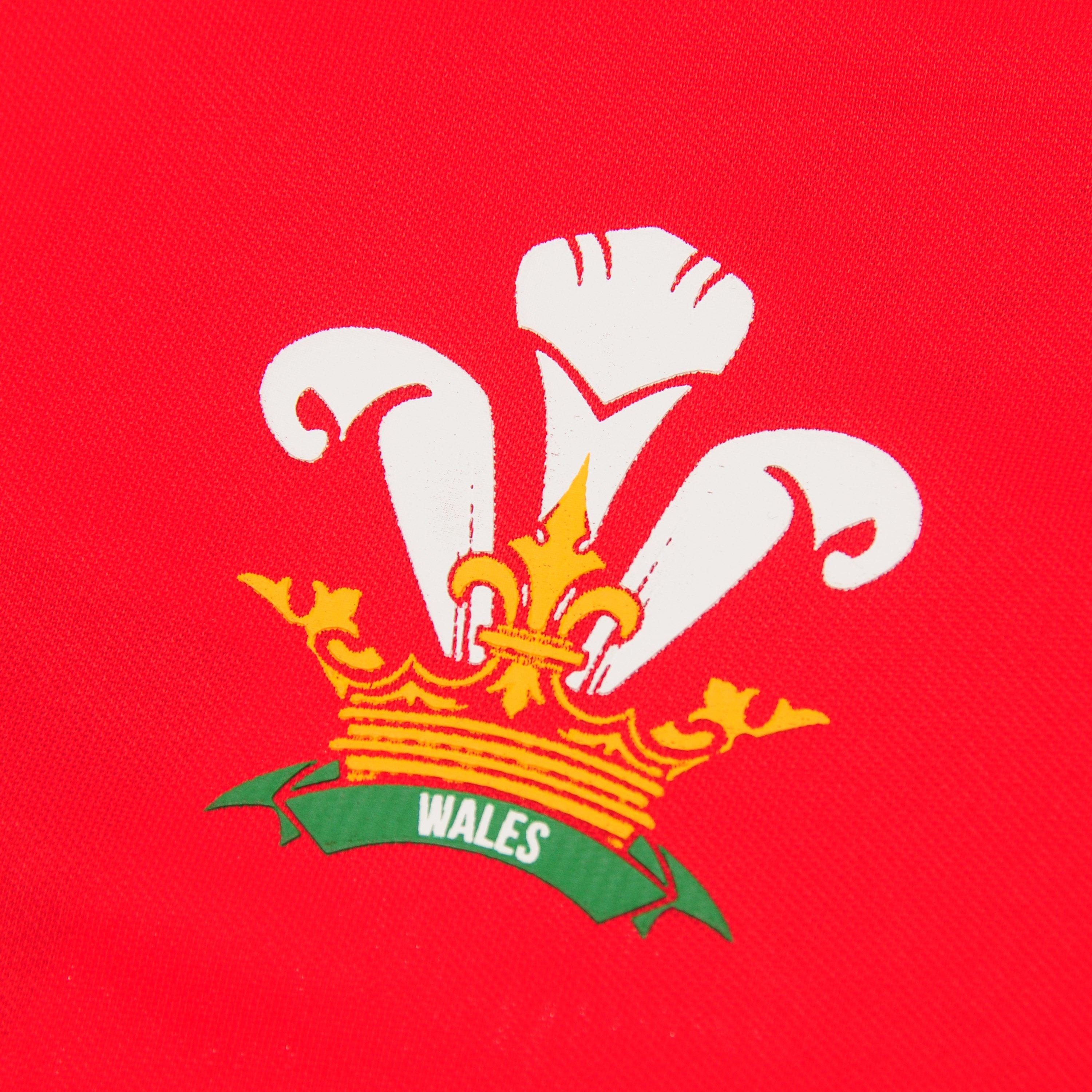 Wales - Team Rugby - Poly T-shirt Juniors - 3