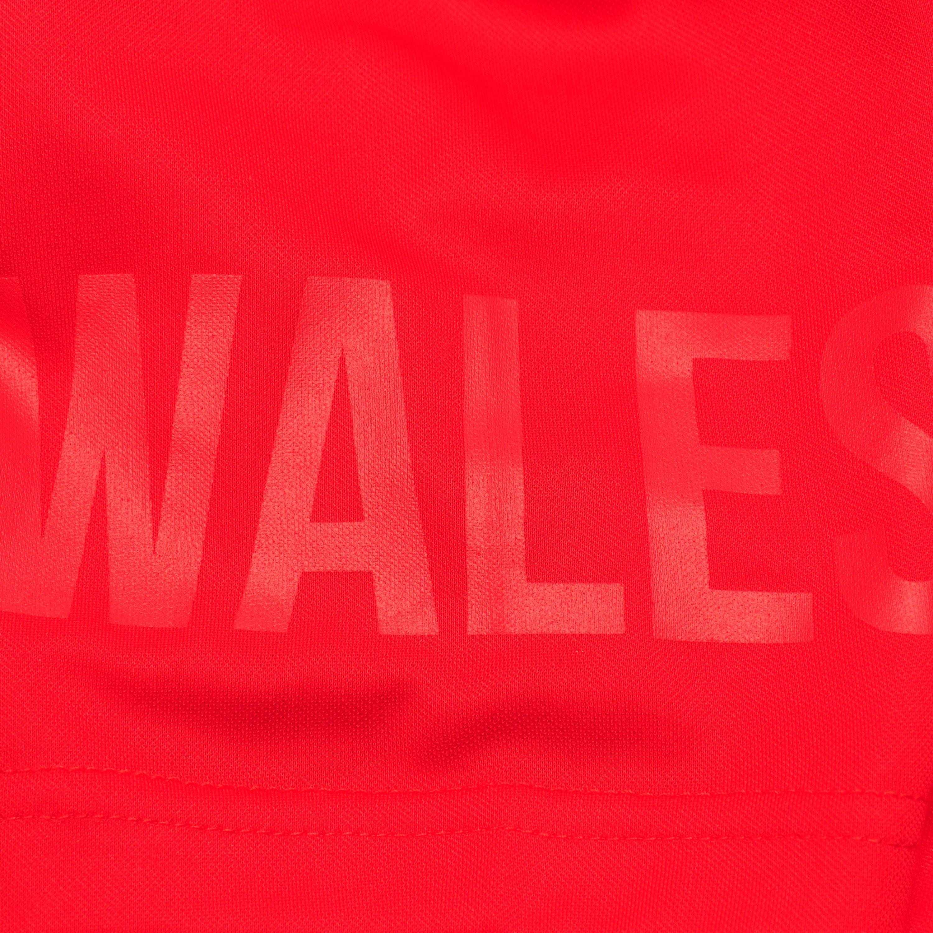 Wales - Team Rugby - Poly T-shirt Juniors - 5