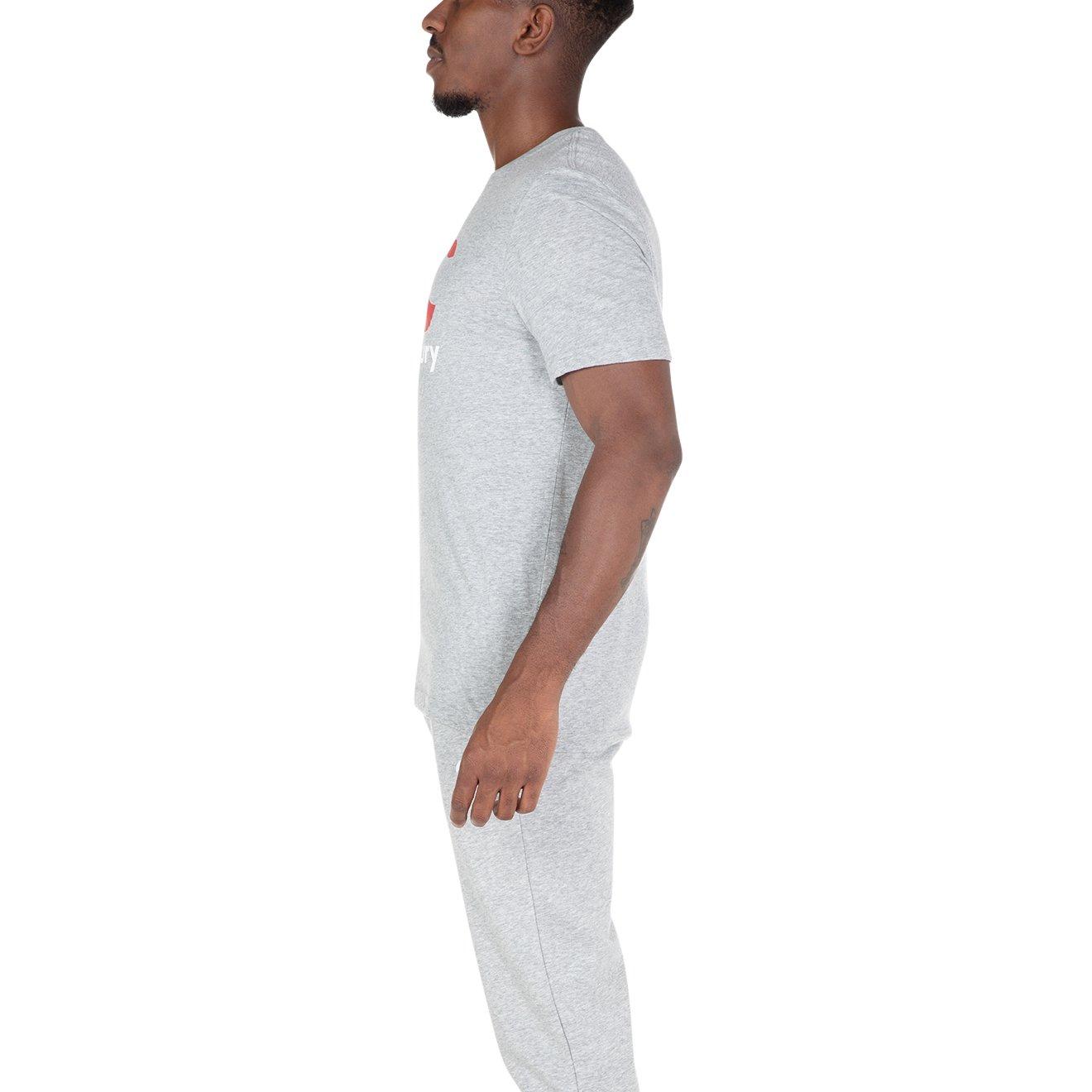 Grigio - Canterbury - Large Logo T Shirt Mens - 5