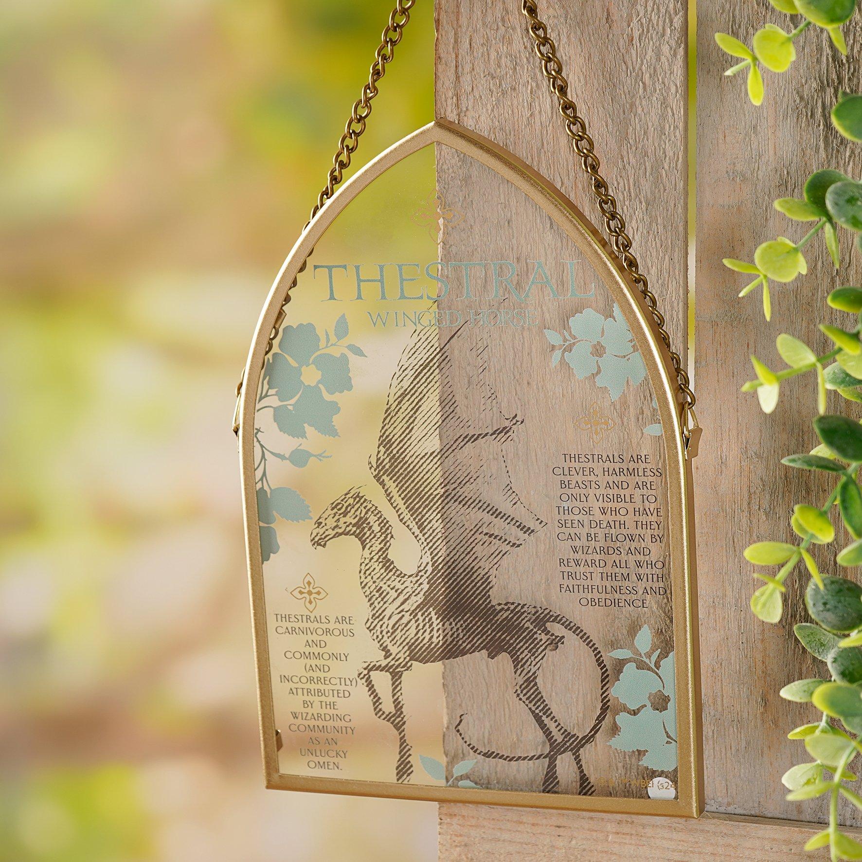 Multi - Harry Potter - Harry Potter Herbology Arch Plaque Thestral - 1