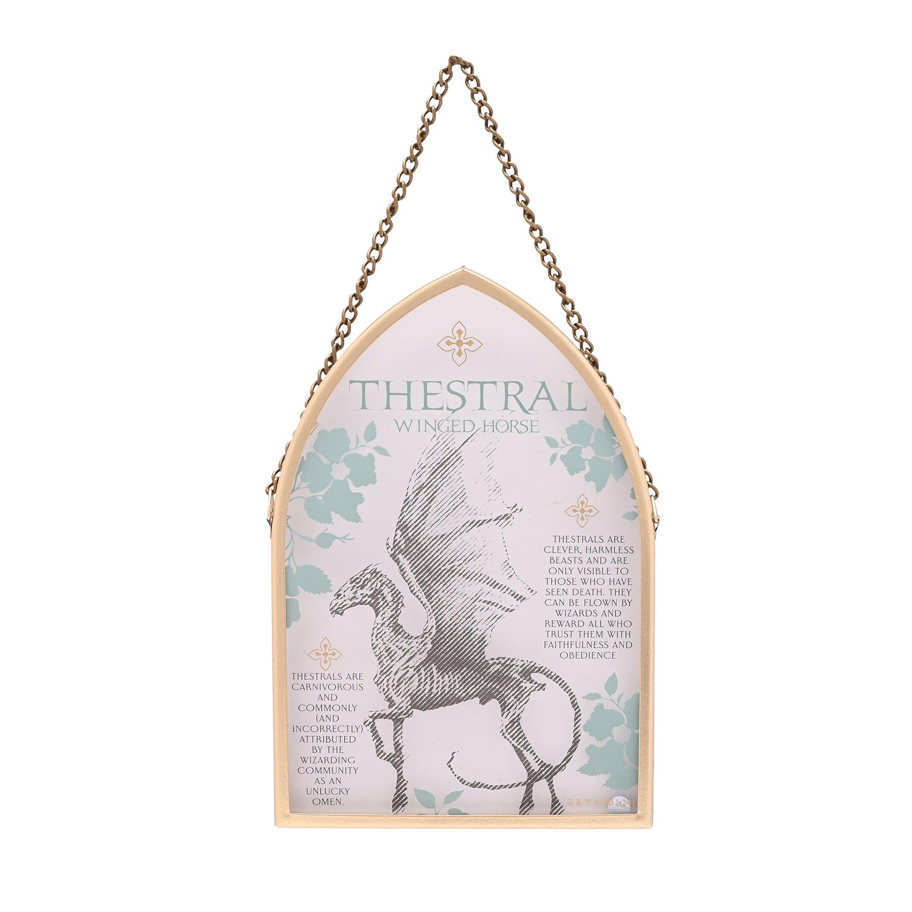 Multi - Harry Potter - Harry Potter Herbology Arch Plaque Thestral - 2