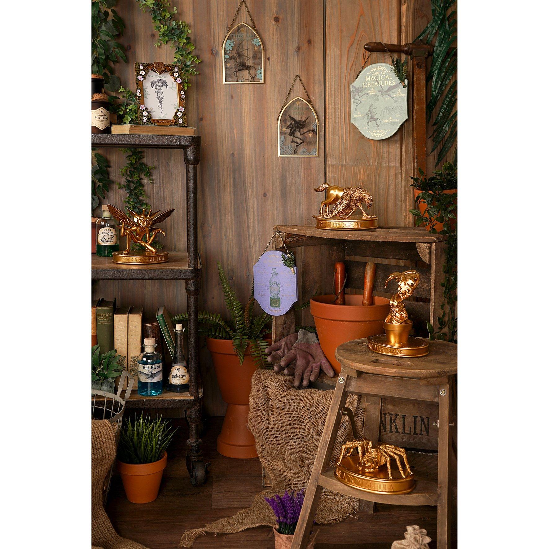 Multi - Harry Potter - Harry Potter Herbology Arch Plaque Thestral - 3