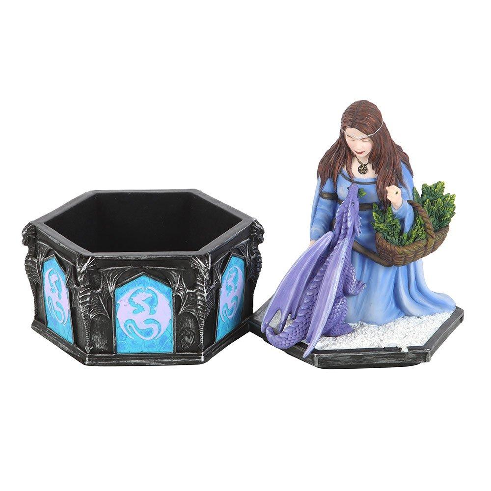 Multi - Something Different - Dragon Friendship Winter Box by Anne Stokes - 3