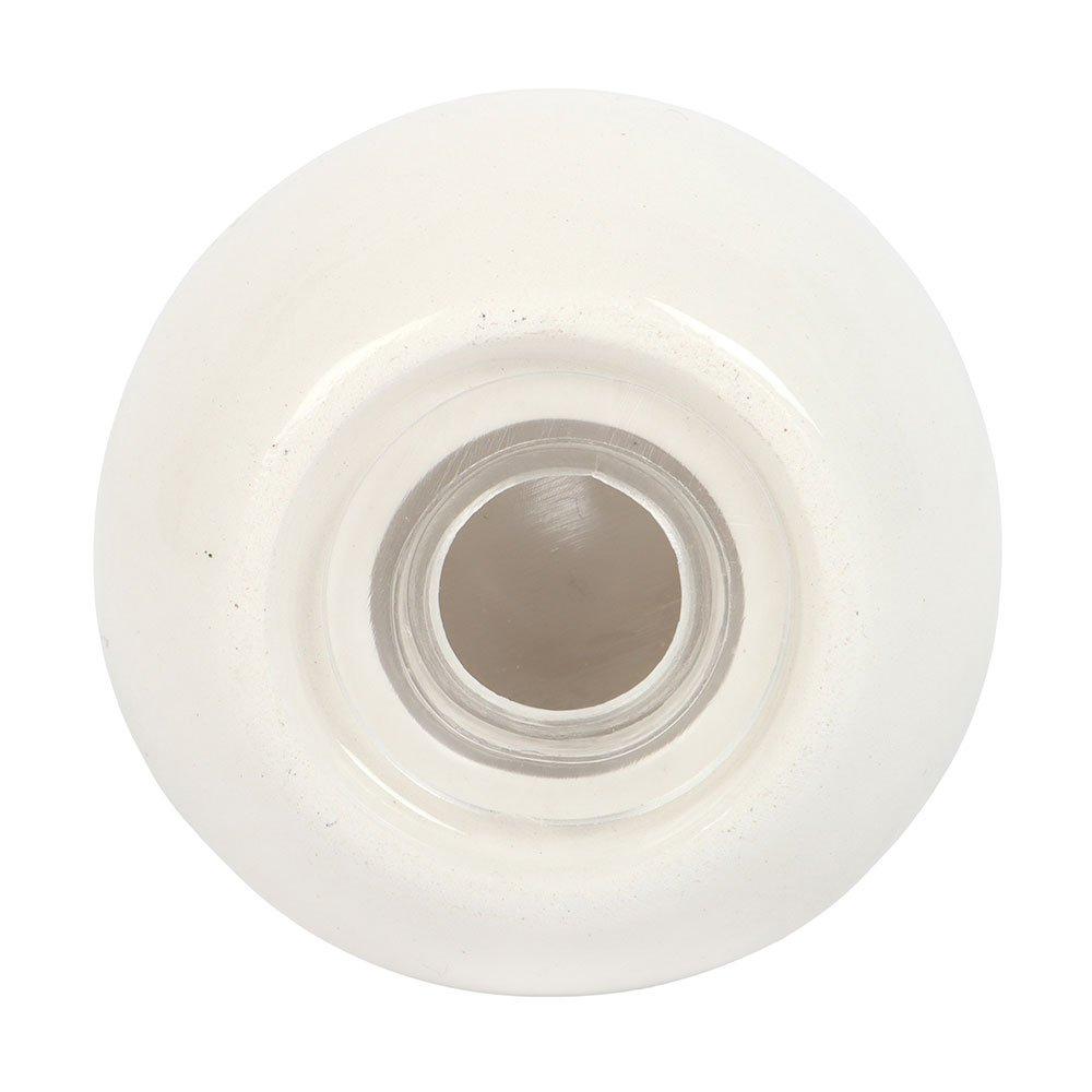 Blue - Something Different - Clam Shell Salt and Pepper Shakers - 6