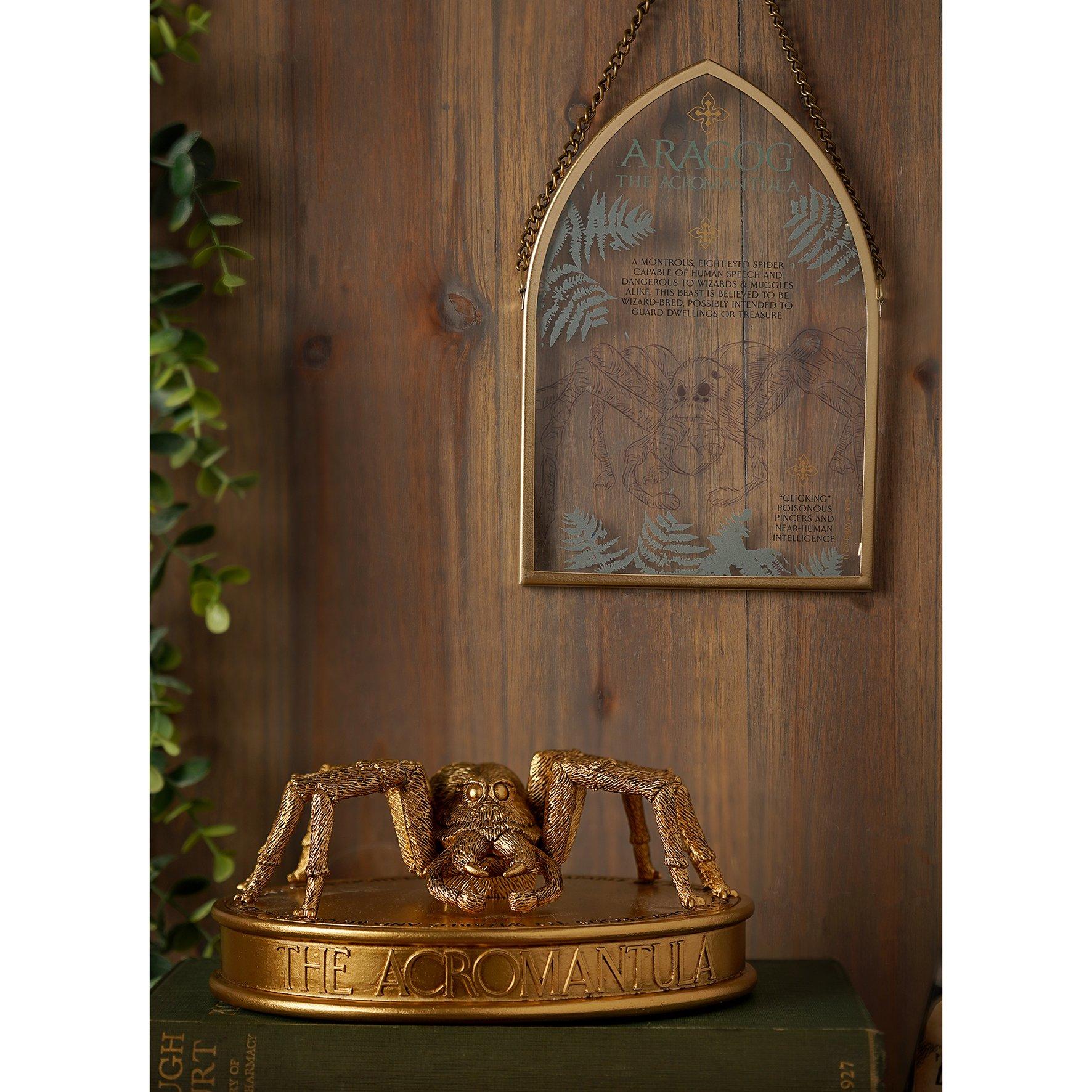 Gold - Harry Potter - Harry Potter Herbology Figurine Aragog - 5