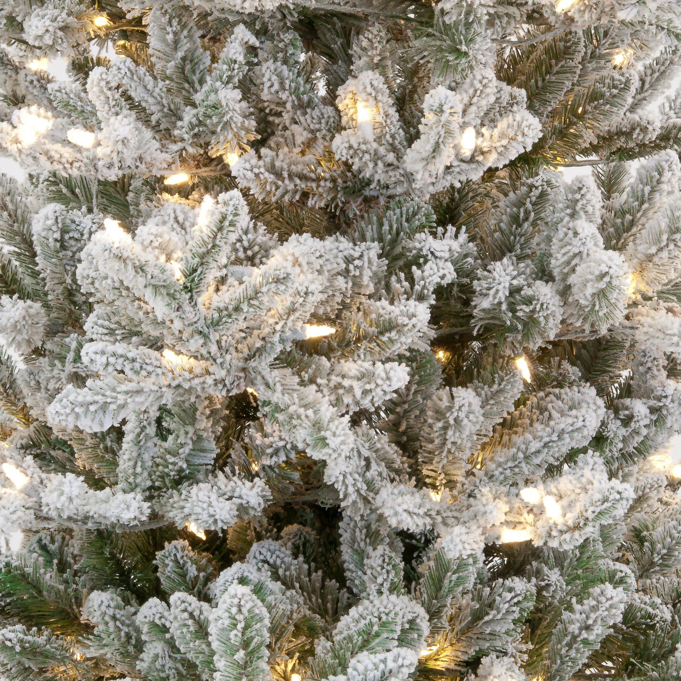 Green And White - Snowtime - Innsbruck Fir Flocked Tree - 2