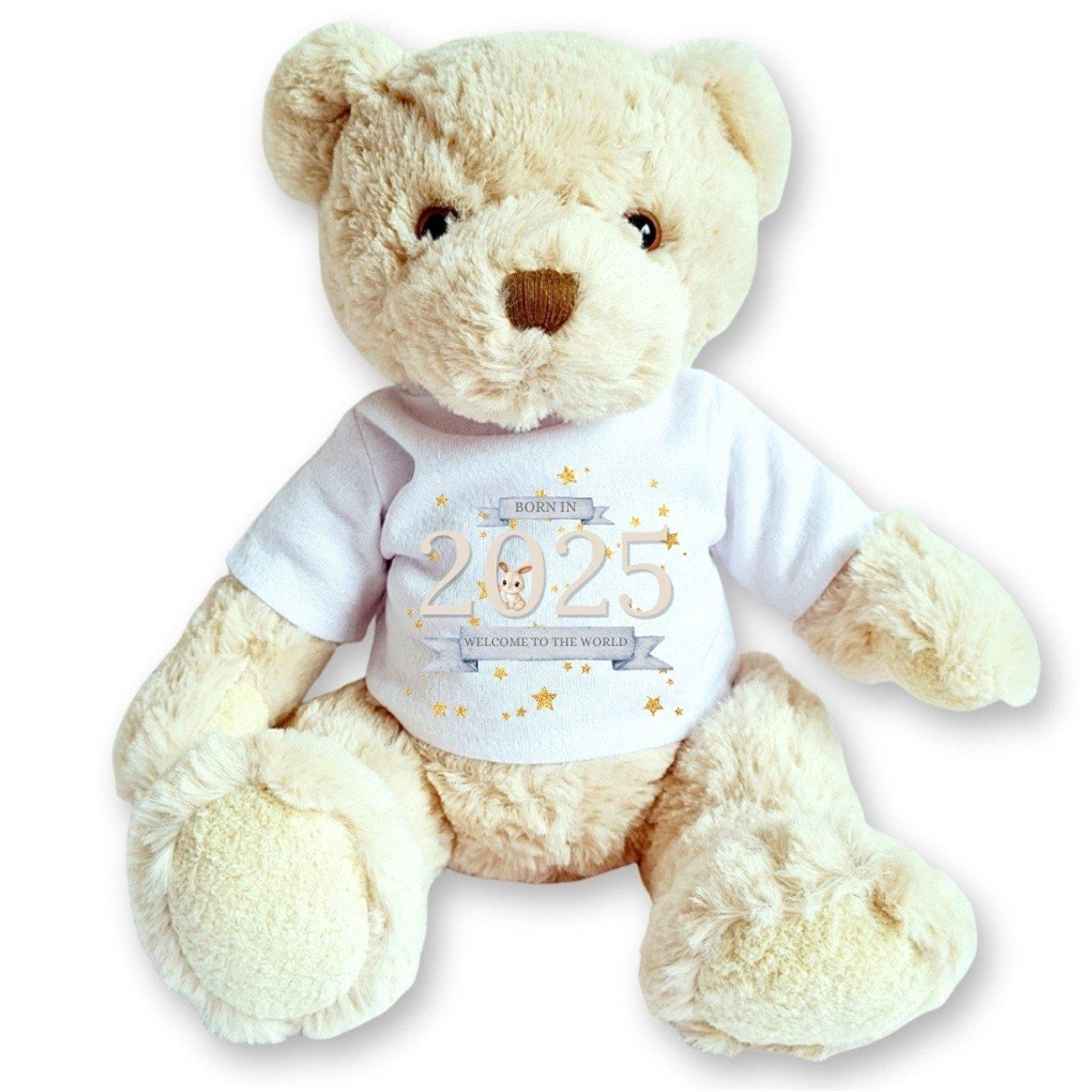 Cream - Aye Do Gifts - Luxury Teddy Bear Welcome to the World 2026 Tshirt - 2