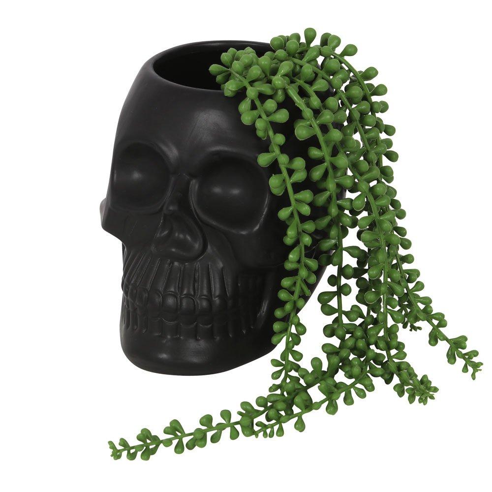 Something Different  Skull Plant Pot Black